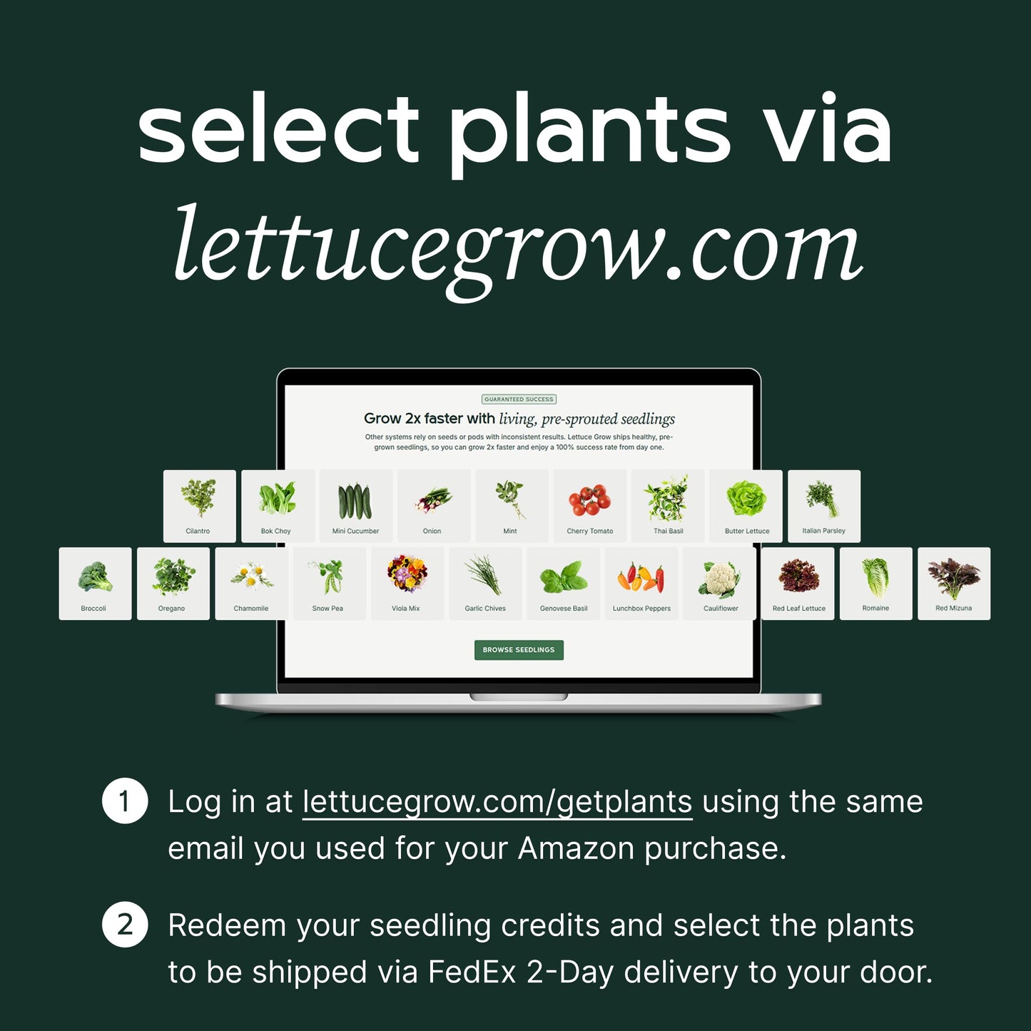 Lettuce Grow Counterstand Hydroponic Garden, Indoor Gardening System Hydroponics Growing System Kit, Herb Garden Planter Indoor Kit Countertop Vase Style No Grow Light