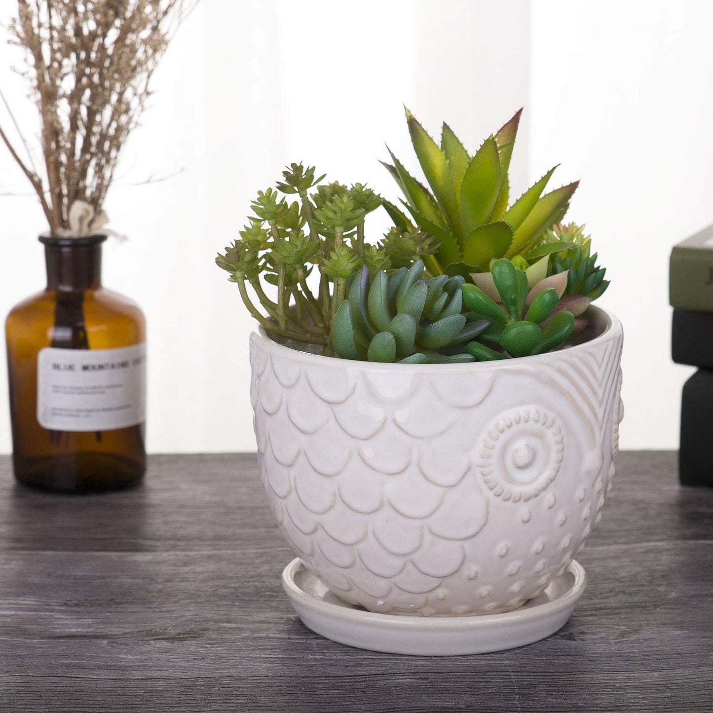 VanEnjoy 6.5 Inch White Owl Ceramic Planters Plant Pot for Medium Plant, Succulent, with Saucer