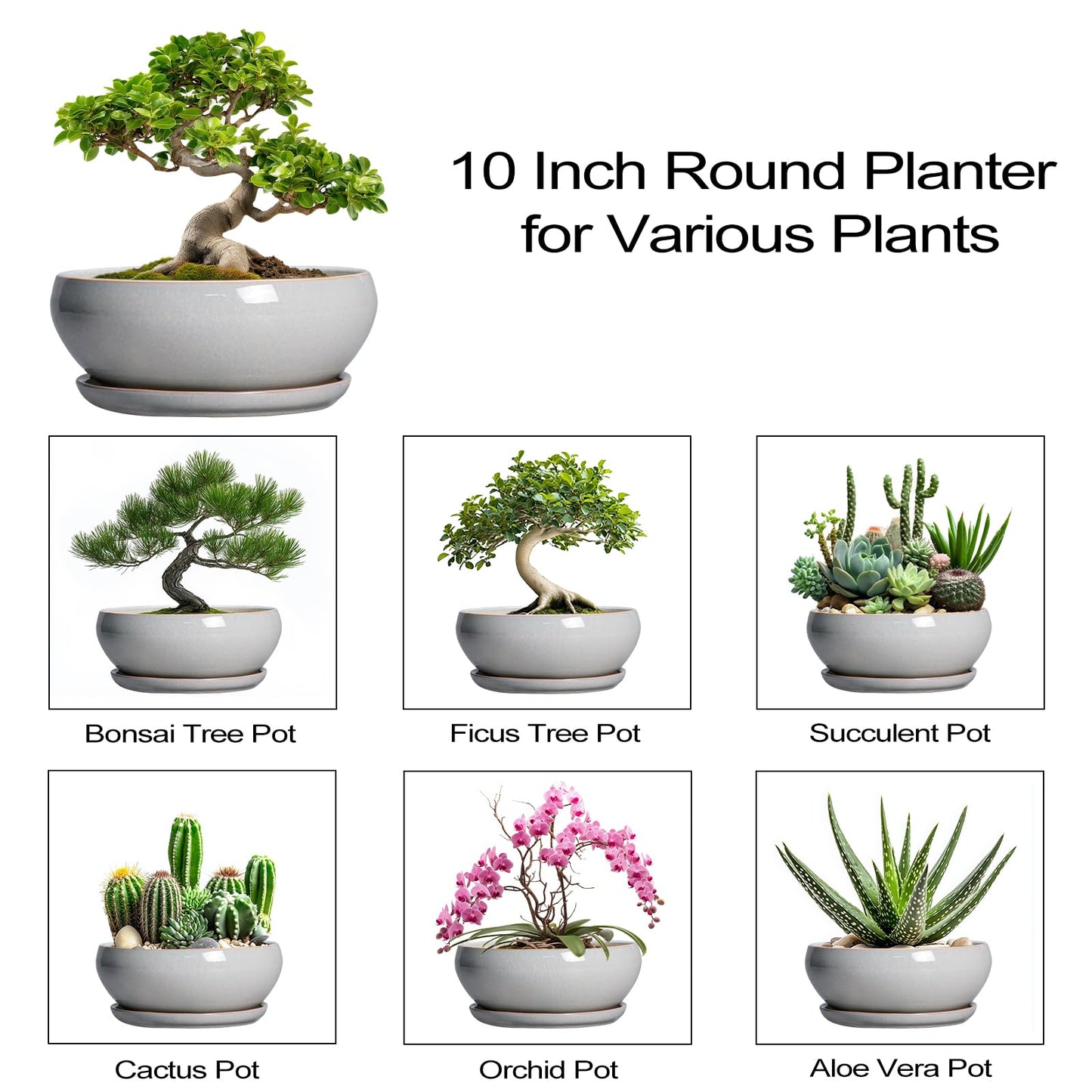 SQOWL Bonsai Pots - 10 Inch Ceramic Succulent Pots with Drainage Hole and Saucer, Large Shallow Indoor Planter, Bowl Round Planter Outdoor, Living Room Decor, Plant Lover Gifts, Gray