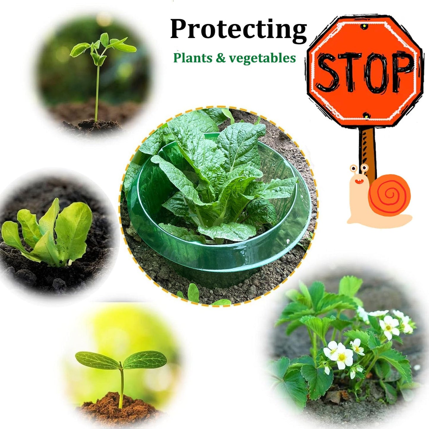 Fshow Garden Cloches，5 Pack Plastic Slug & Snail Plant Protection Collars, Snail Defense Without Chemistry, Planting Rings Protects Plants to Get Better.