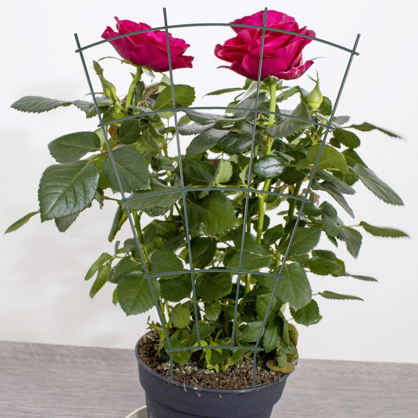 Operitacx Garden Trellis Plant Climbing Rack for Indoor and Outdoor Use, Metal Vine Climbing Support with Fixed Stakes for Potted Plants and Garden Vegetables