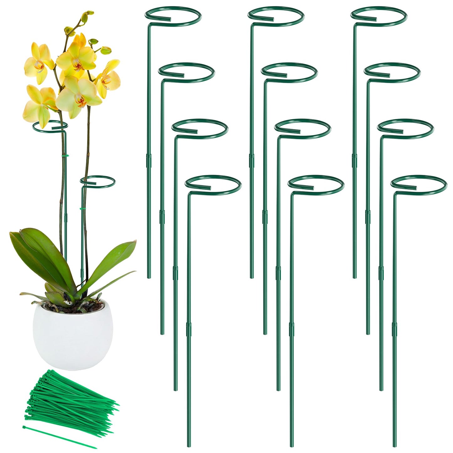 Unves 12 Pack Plant Stakes, 24 Inch Garden Plant Support Stakes, Green Single Stem Plant Cage for Outdoor & Indoor Plants Orchid, Tomatoes, Peony, Lily, Rose, Sapling with 100 Pcs Twist Ties