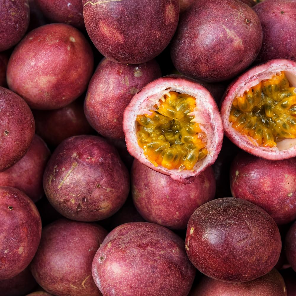 Passion Fruit Plant Live, Fragrant Passion Fruit Tree Live Plant, Edible Fruit Bearing Vine, Perennial Tropical Plant for Outdoor Gardening, 4-6 Inches Tall (Purple Passion Fruit)