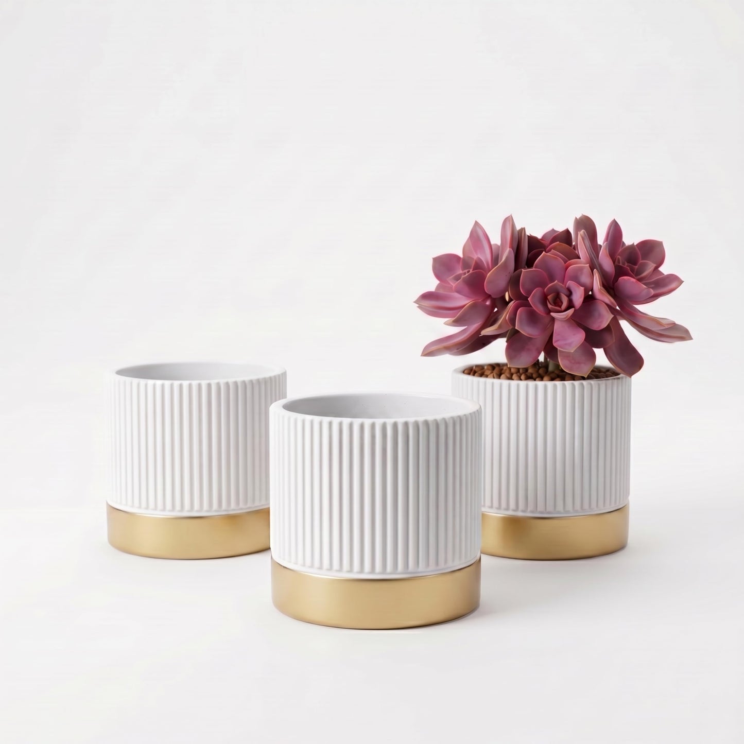 Ten-stone Set of 3 Cement Planter Pots with Drainage Hole,4 inch Plant Pots for Plants Indoor Houseplants,Succulent Pots Windowsil Planter (White&Gold)