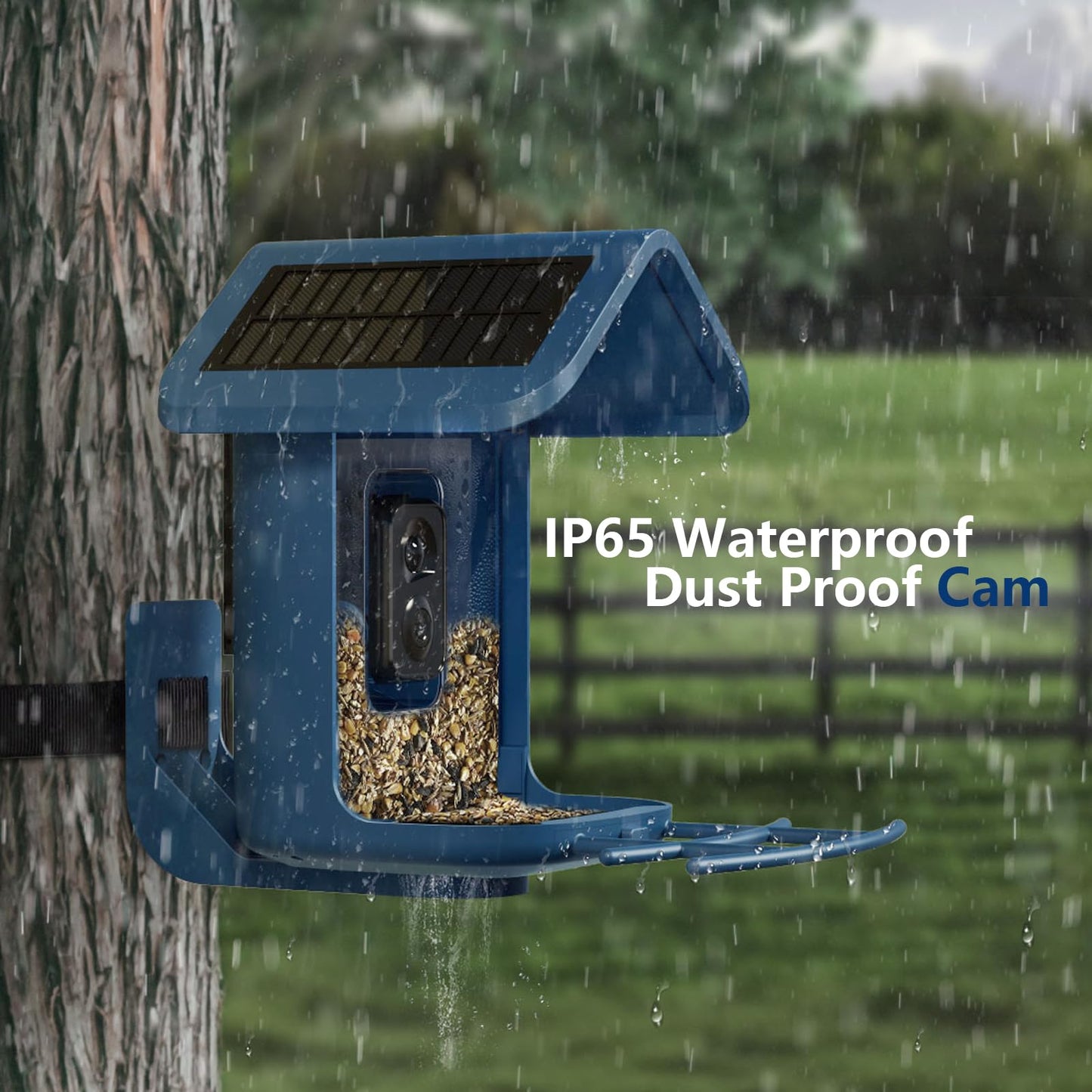 Bird Feeder with Camera Solar Powered : Smart Camera Bird Feeder 2K Live Feed Cam for Outdoor Backyard - Ai Identify Auto Capture Videos Pictures, Gifts for Birdlover Mom Dad, 2.4GHz WiFi
