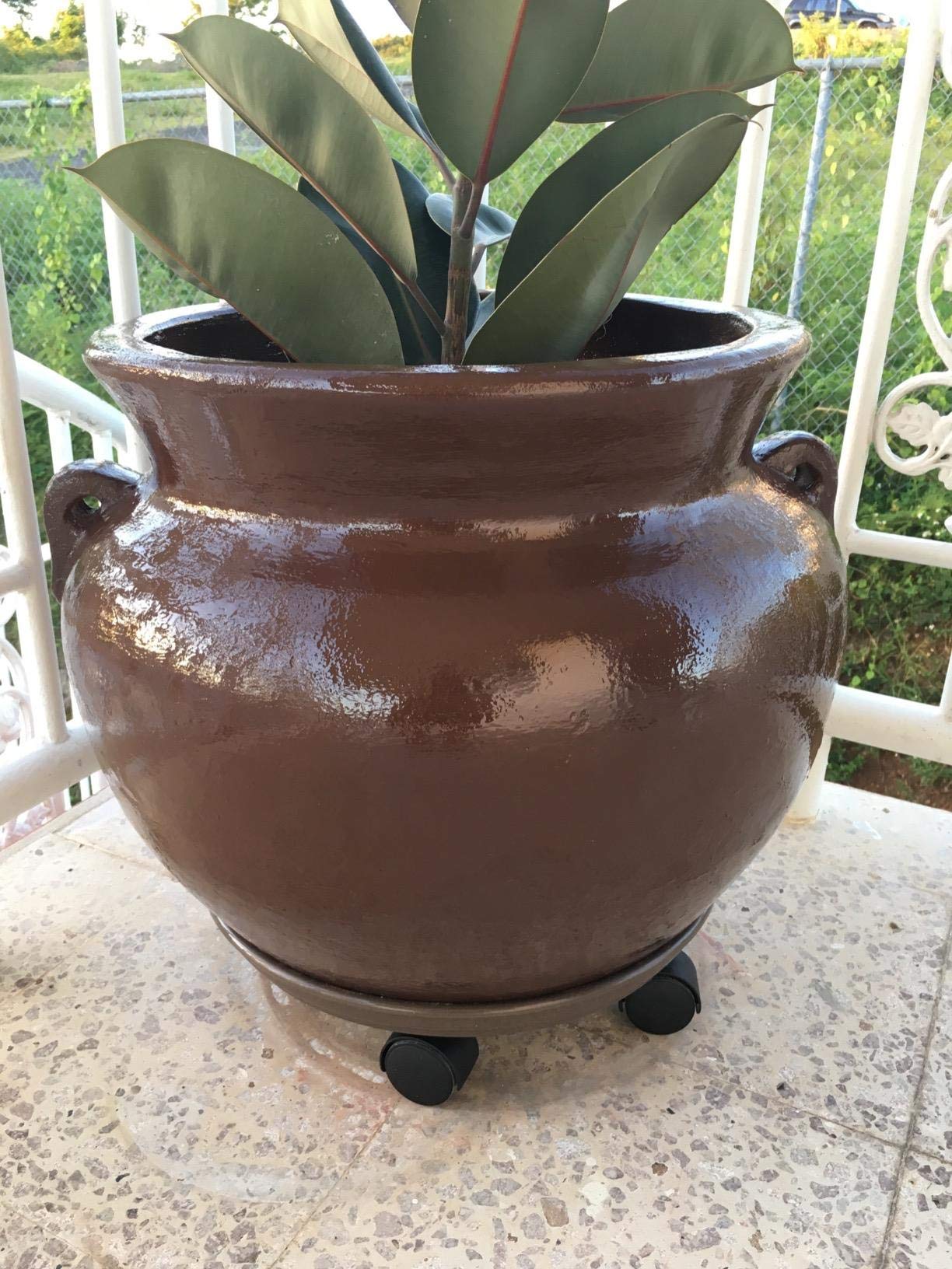 Coadura Plant Caddy with Wheels 15.5 Inch - 2 Pack Plant Caddy on Wheels Heavy Duty,Plant Dolly Plant Tray with Wheels Planter Caddies Indoor/Outdoor, Brown