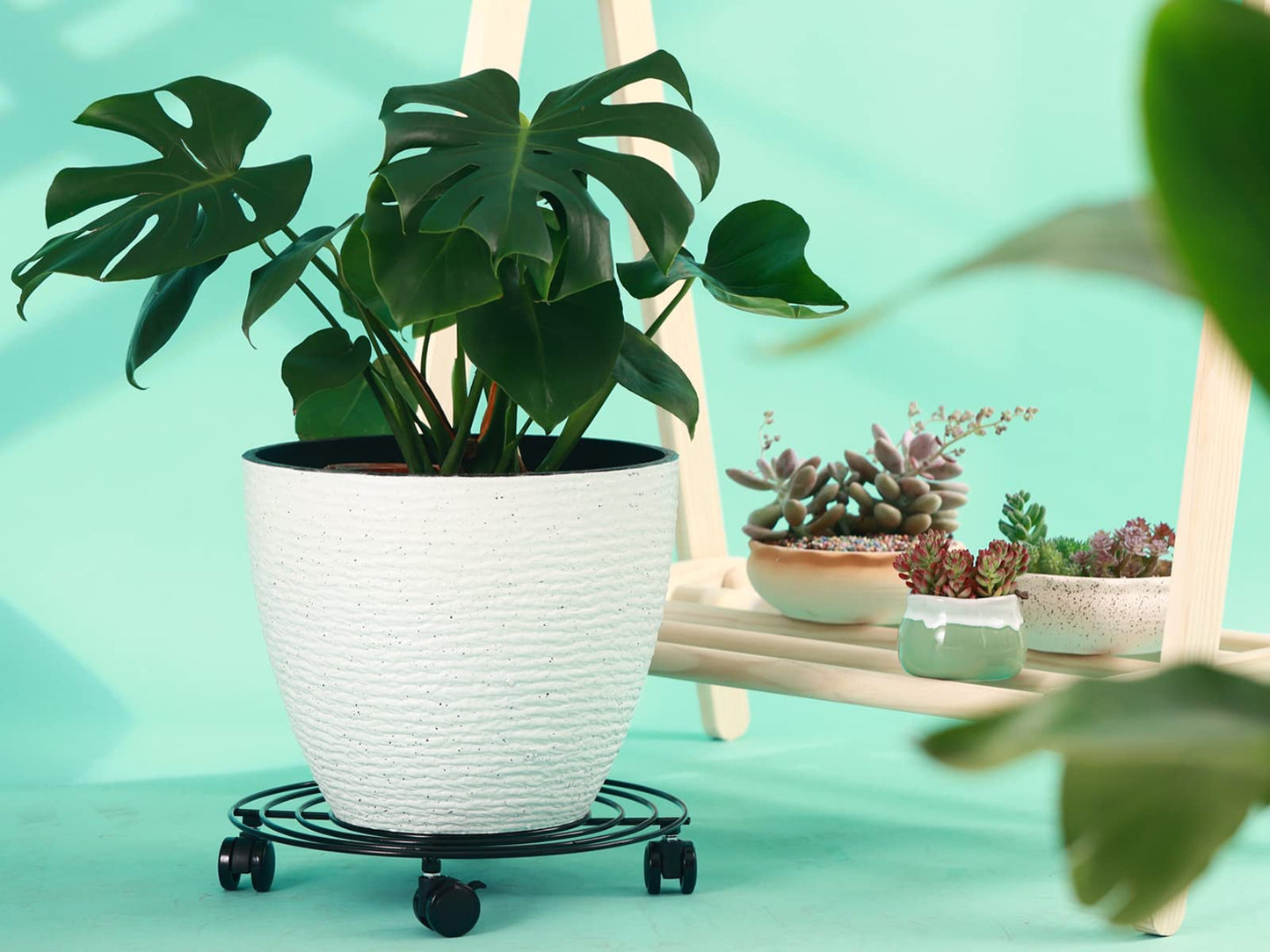 6 Packs 14 Inches Large Metal Plant Caddy with Wheels Rolling Plant Stands Heavy-duty Wrought Iron Plant Roller Base Pot Movers Plant Saucer on Wheels Indoor Outdoor Plant Dolly with Casters Planter Tray