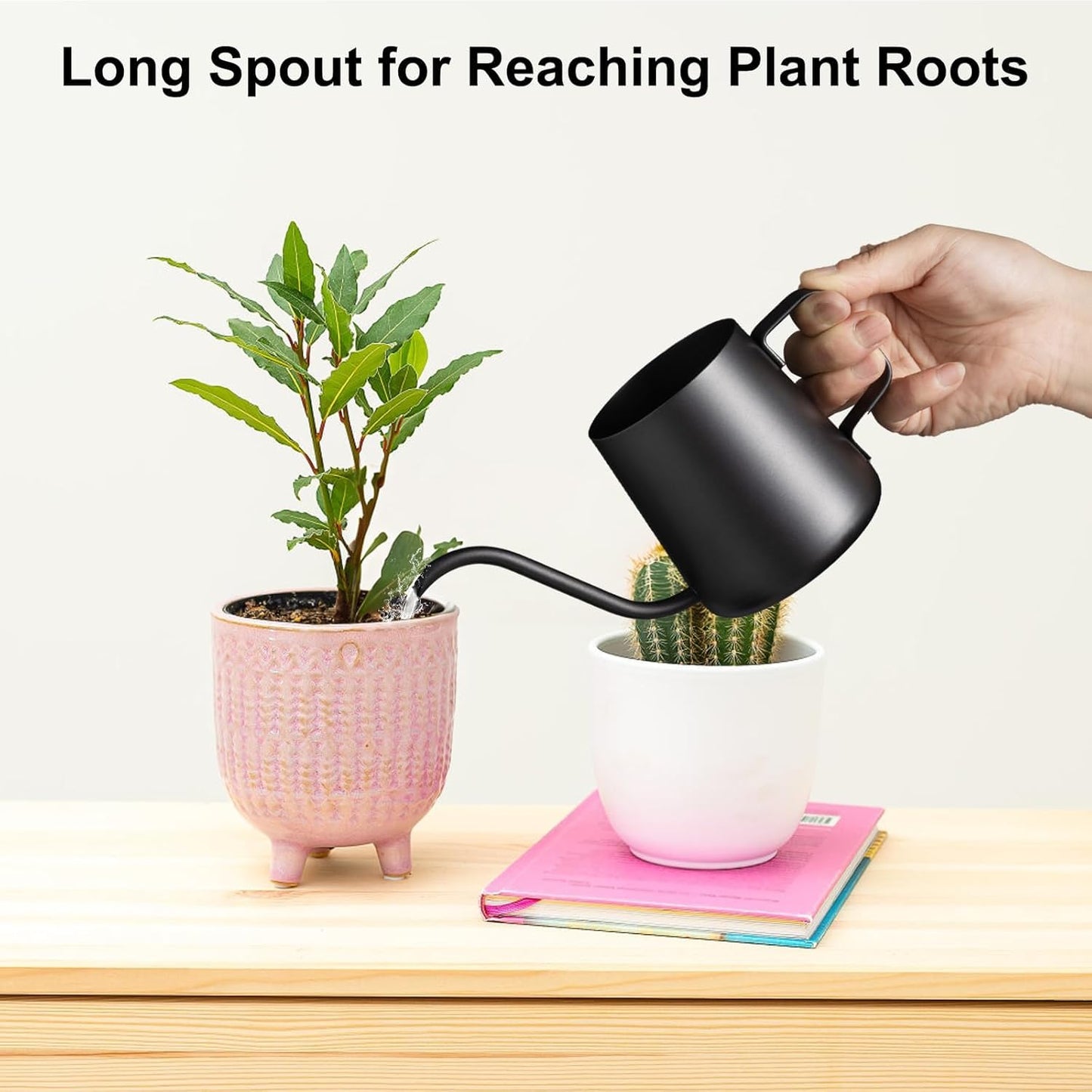 Lizhluzh 12 oz / 350 ml Watering Can Indoor Plants, Stainless Steel Plant Watering Can with Long Spout (Black) (12oz)