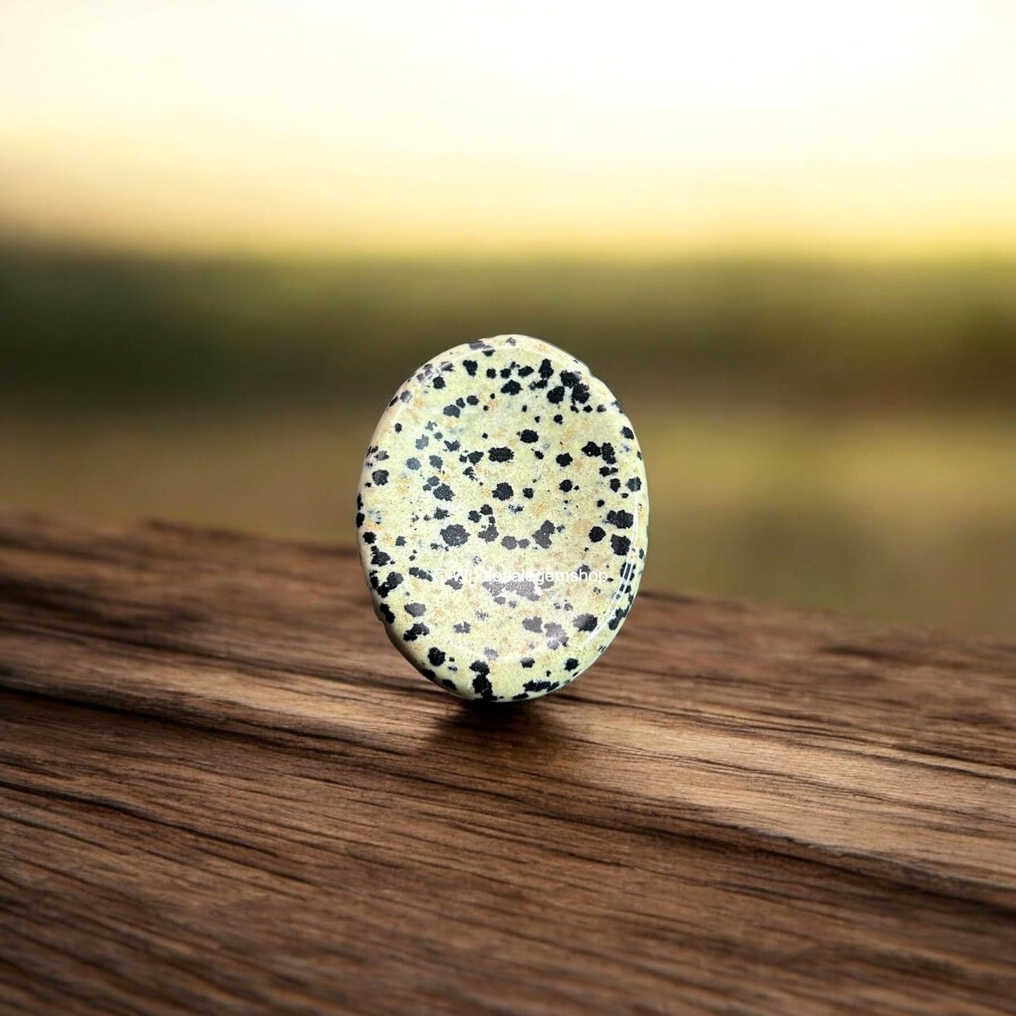 Dalmatian Jasper Thumb Worry Stones Metaphysical Gemstone Crystal Healing Reiki Men Women Gift FENG Shui Positive Energy Love Wellness Palm Stones Wicca Powerful