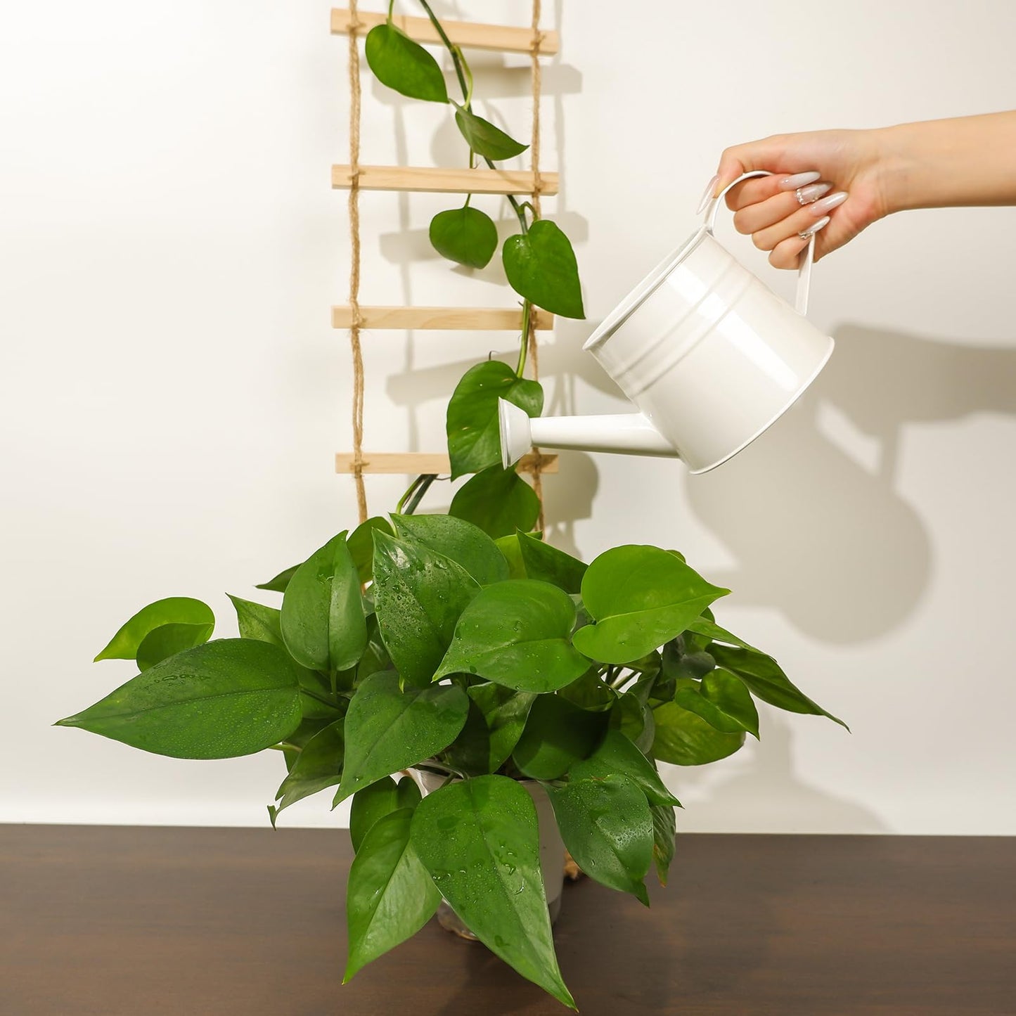 GOOOXIM Chain Trellis for Climbing Plants Indoor – Natural Wood Ladder Style Plant Support for Vines, Ideal for Pothos & Ivy, Stylish Modern Design for Home & Garden Use, Indoor/Outdoor