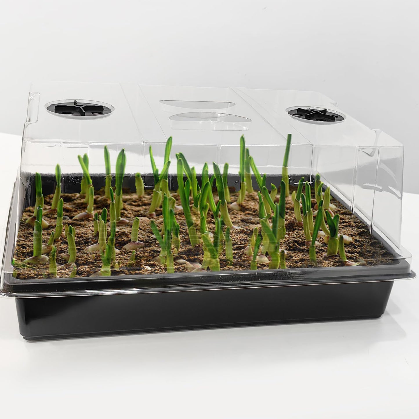 RooTrimmer 4-Pack Seed Starter Trays with 5'' Tall Humidity Domes – Reusable Plant Germination Kit for Microgreens, Herbs & Indoor Gardening | Clear Vented Lids, Fast Seedling Growth & Durable Design