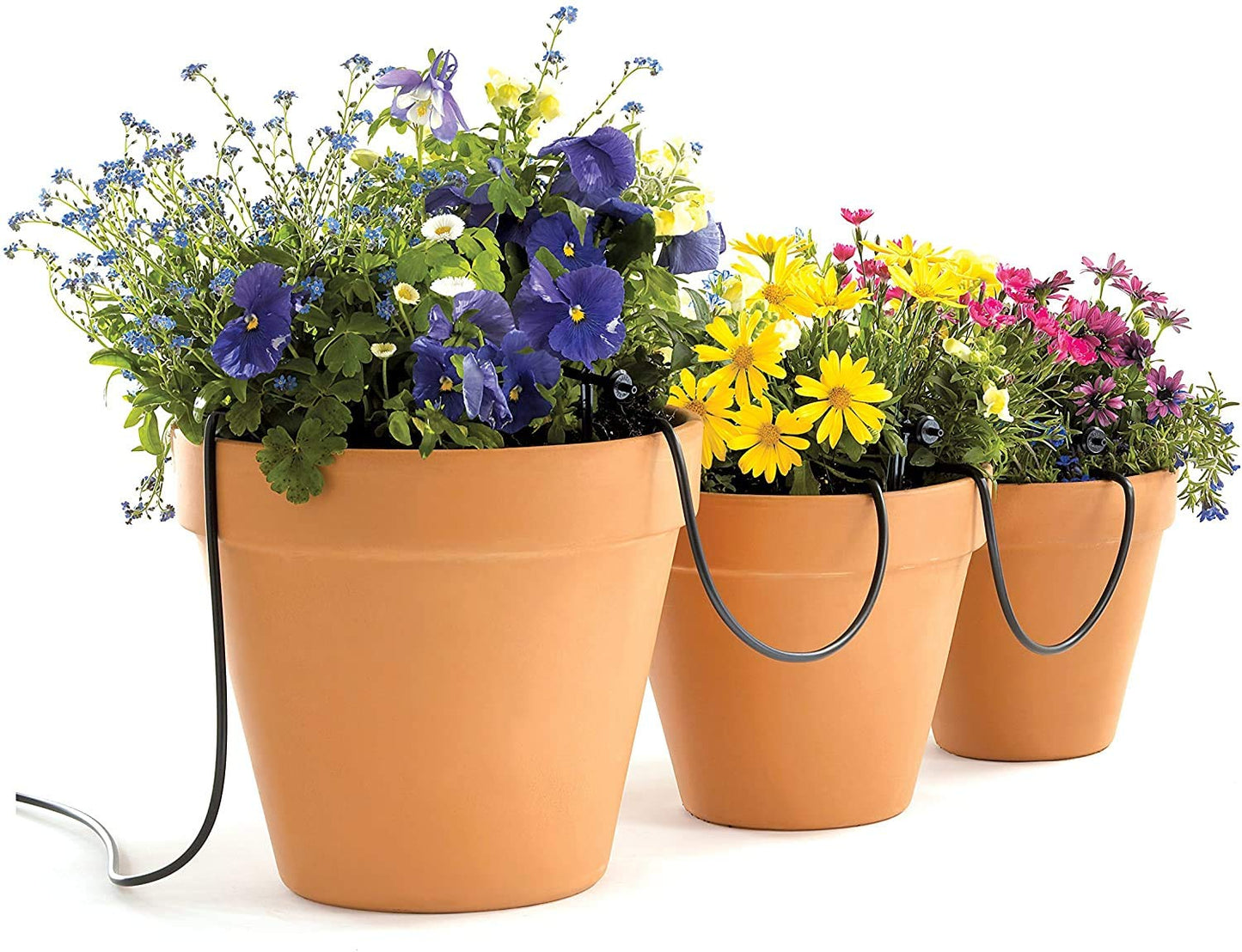 Raindrip R560DP Drip Watering System, Automatic Drip Irrigation System with Timer for Containers and Hanging Baskets, Waters up to 20 Plants, Includes 20 Drippers, Black