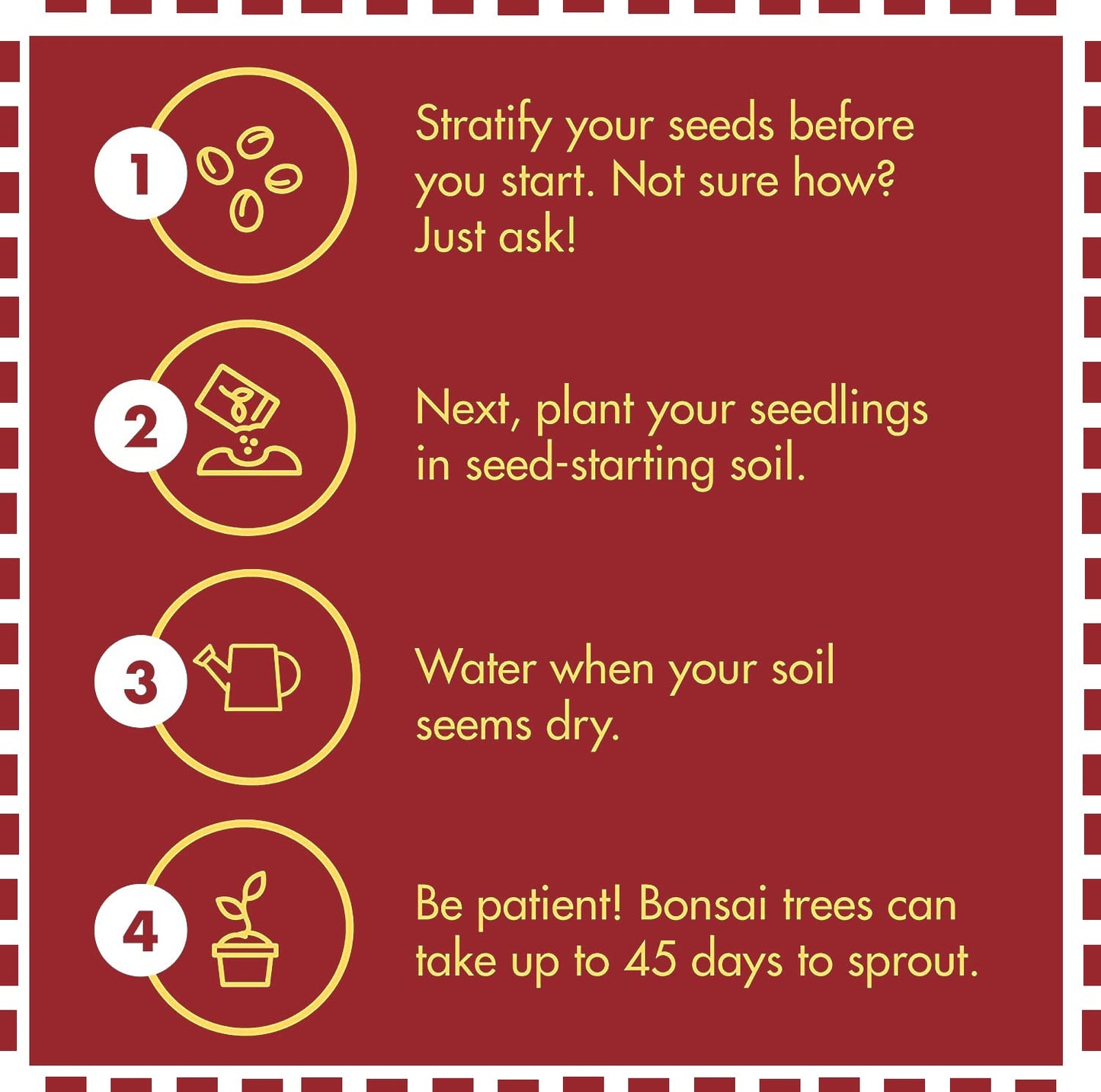 Bonsai Tree Kit – Grow 5 Species of Bonsai Tree w/Our All-in-One Plant Kit: Bonsai Pots & Peat Pellets Including a Tutorial Video by CZ Grain | Great Gardening Gifts for Women and Men