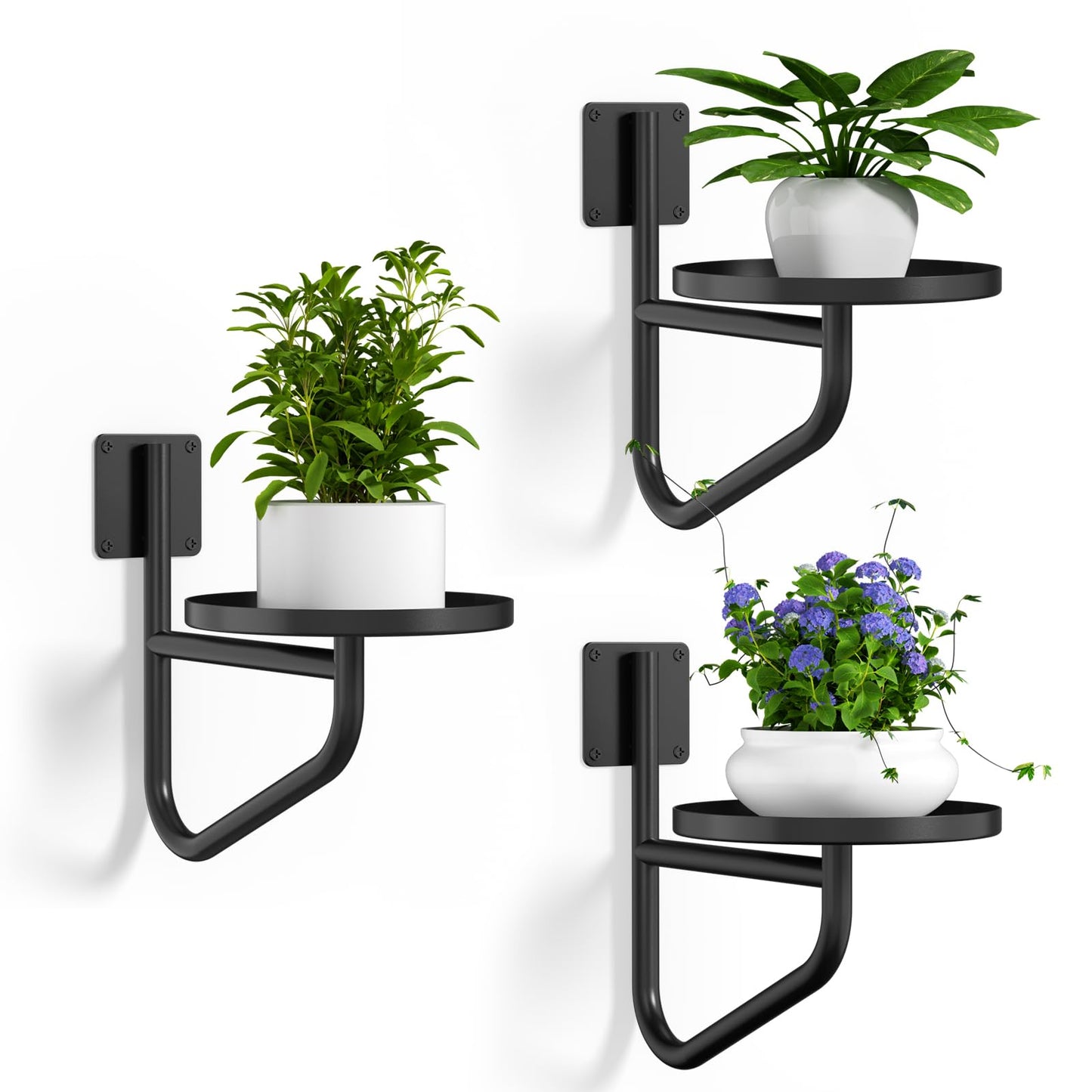 IMAGOA Wall Plant Holder, Metal Wall Planters for Indoor Plants Wall Mounted Plant Holder Hanging Planters Window Plant Shelves Plant Hanger for Home Decor Living Room, Office, Outdoor (3 Pack)