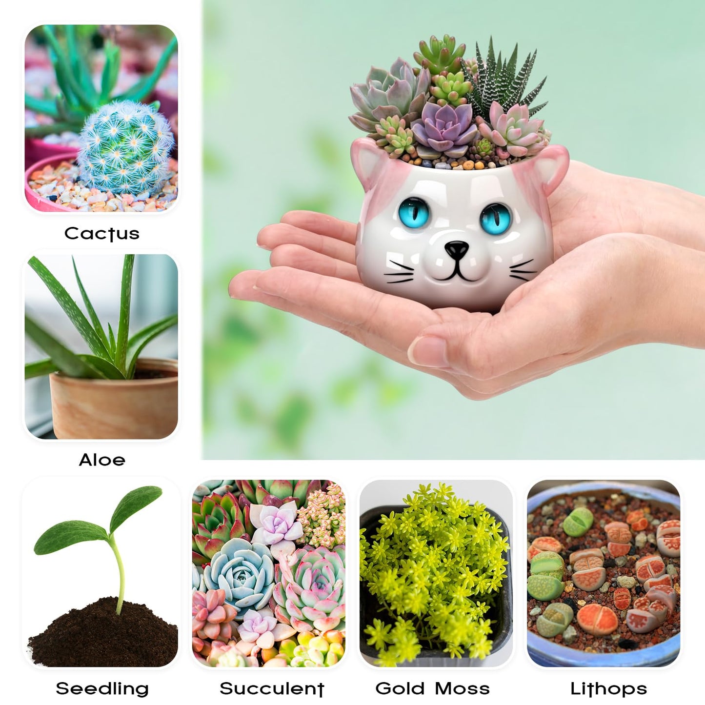 Cindeer 18 Pcs 2.5 Inch Cat Ceramic Succulent Planter Pots – Cute Cat Small Pots with Drainage Hole and Bamboo Tray for Succulents, Cactus, Home Garden Office Desk Decoration Gift Ideas