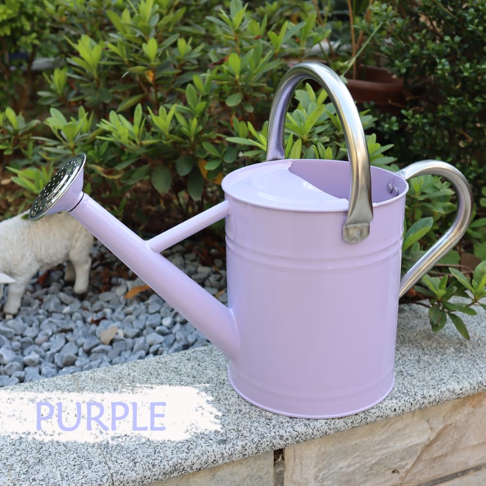 yourjoy Metal Watering Can, One Gallon Watering Cans Stainless Steel for Outdoor Indoor Garden Plants Watering (Stainless Steel Handle Purple)
