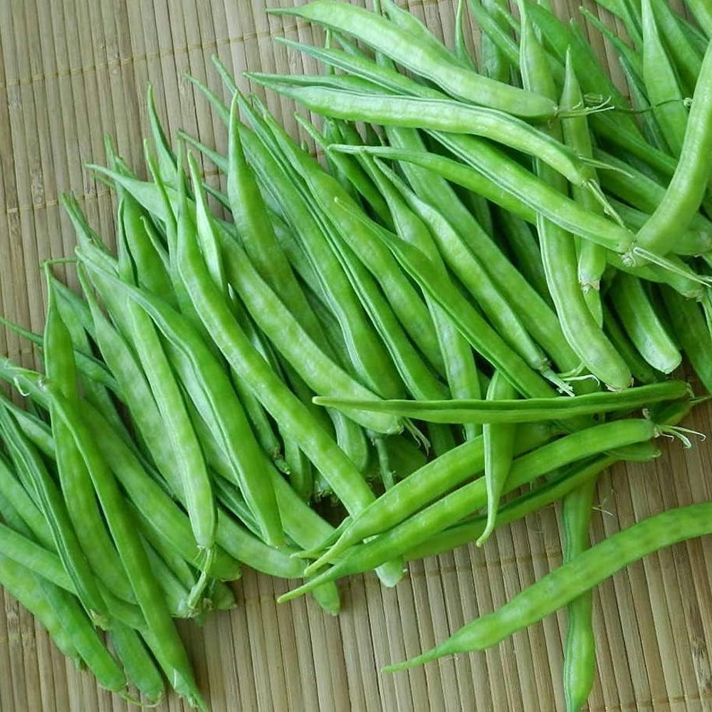 100+ Pcs Indian Cluster Bean Seeds, Non-GMO Vegetable Seeds for Planting, High Germination Guar Seeds for Home Garden, Backyard, Outdoor Grow Bags or Pots