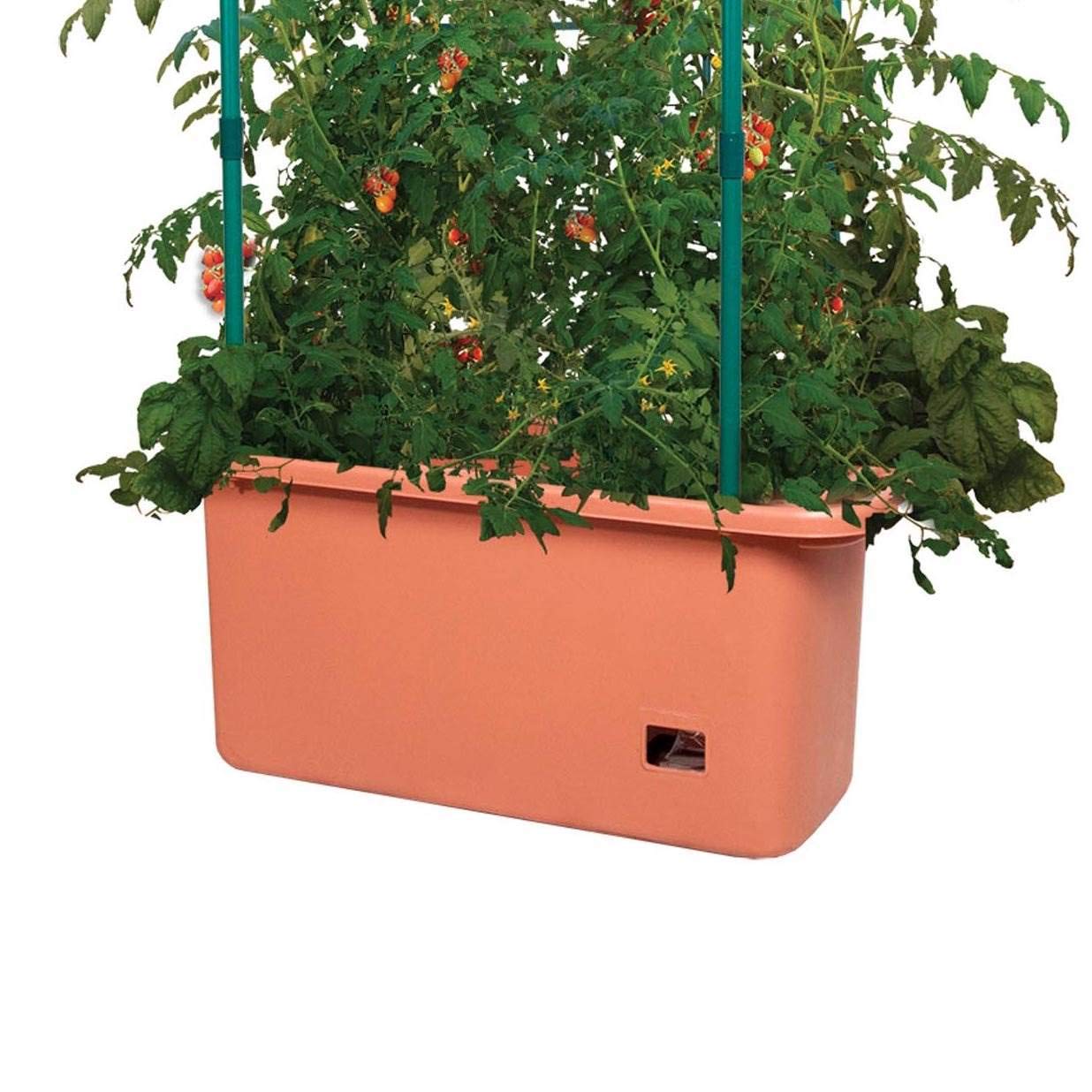 Hydrofarm GCTR 10 Gal Tomato Garden Planting Grow System with 4 Foot Trellis Tower on Wheels for Indoor/Outdoor Climbing Vines, Flowers, and Gardens