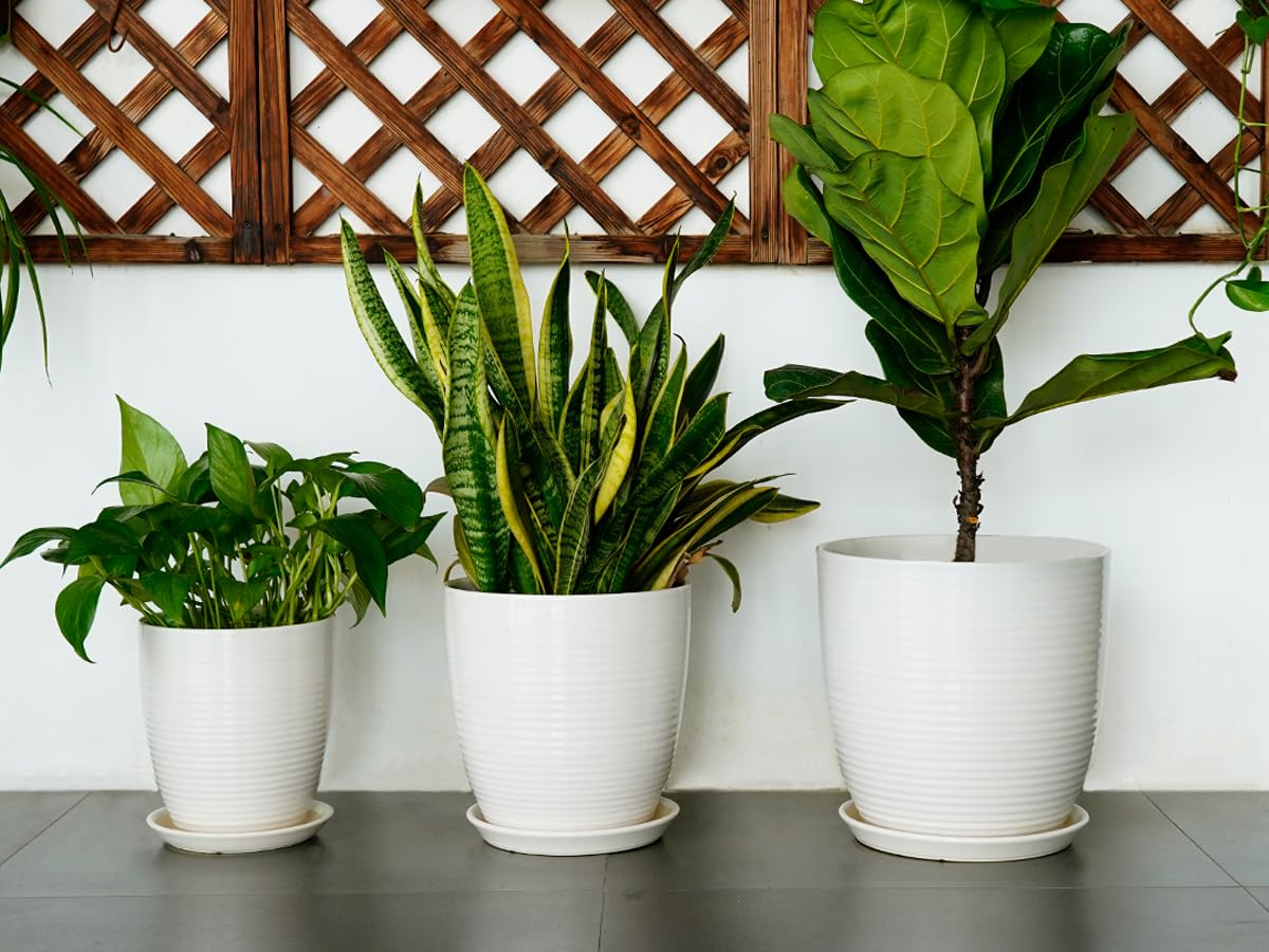 EPFamily 8 Inch Ceramic Planter Pot Round Plant Pot with Drainage Hole and Saucer Modern Flower Pot for Indoor Outdoor Plants White