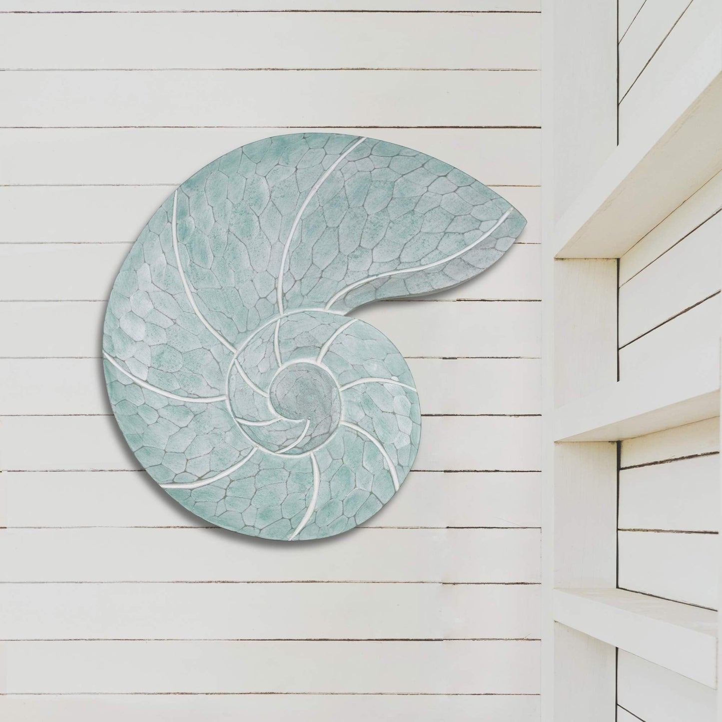 T.I. Design Hand-Carved Coastal Seafoam Nautilus Shell Beach Wall Decor