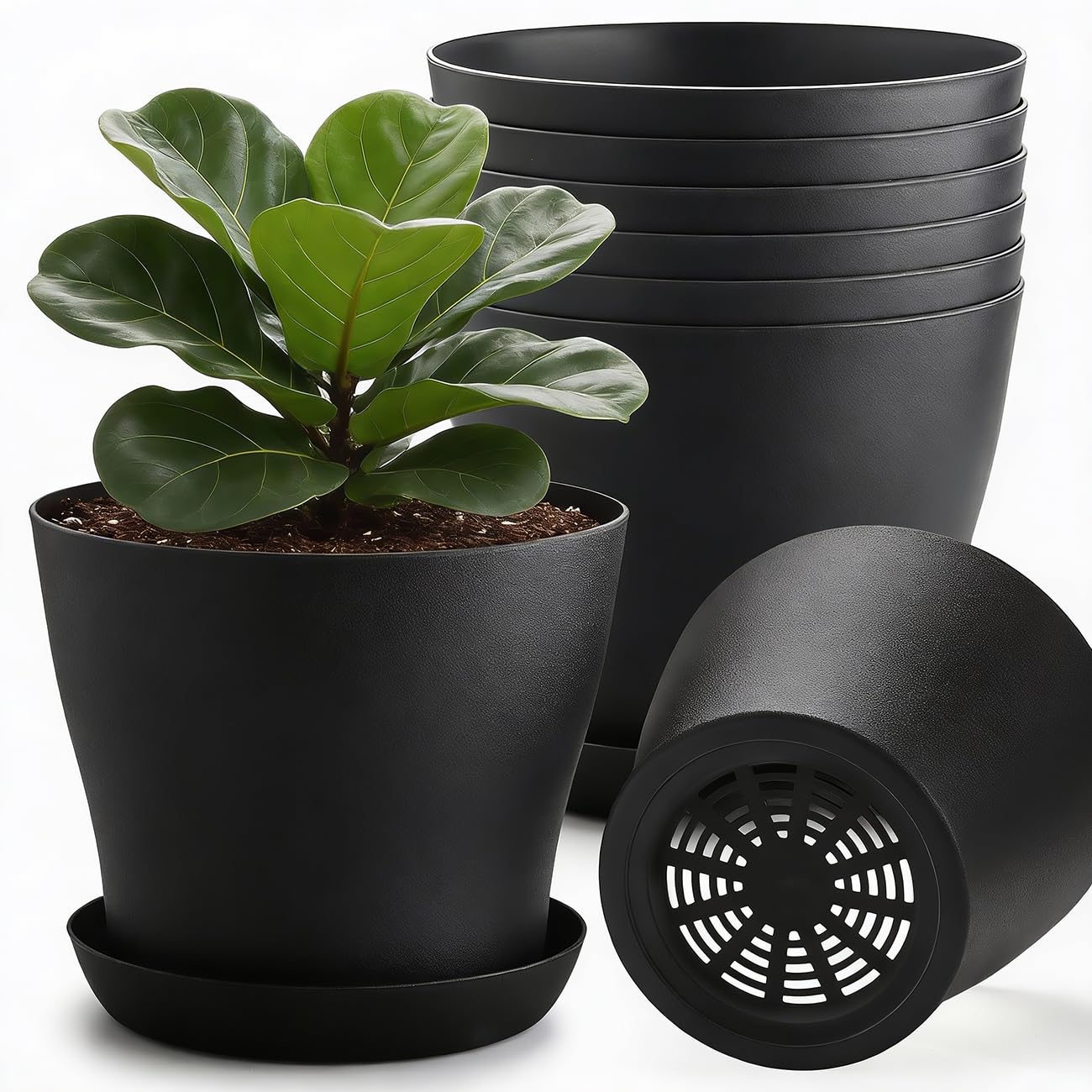 BTPLASTIK 6 Pack 8-Inch Plastic Planter with Saucer, Black- Durable Non-Slip Stackable Indoor/Outdoor Plant Pots with Large Drainage Holes, Minimalist Curved Design for Succulents, Herbs, Cacti