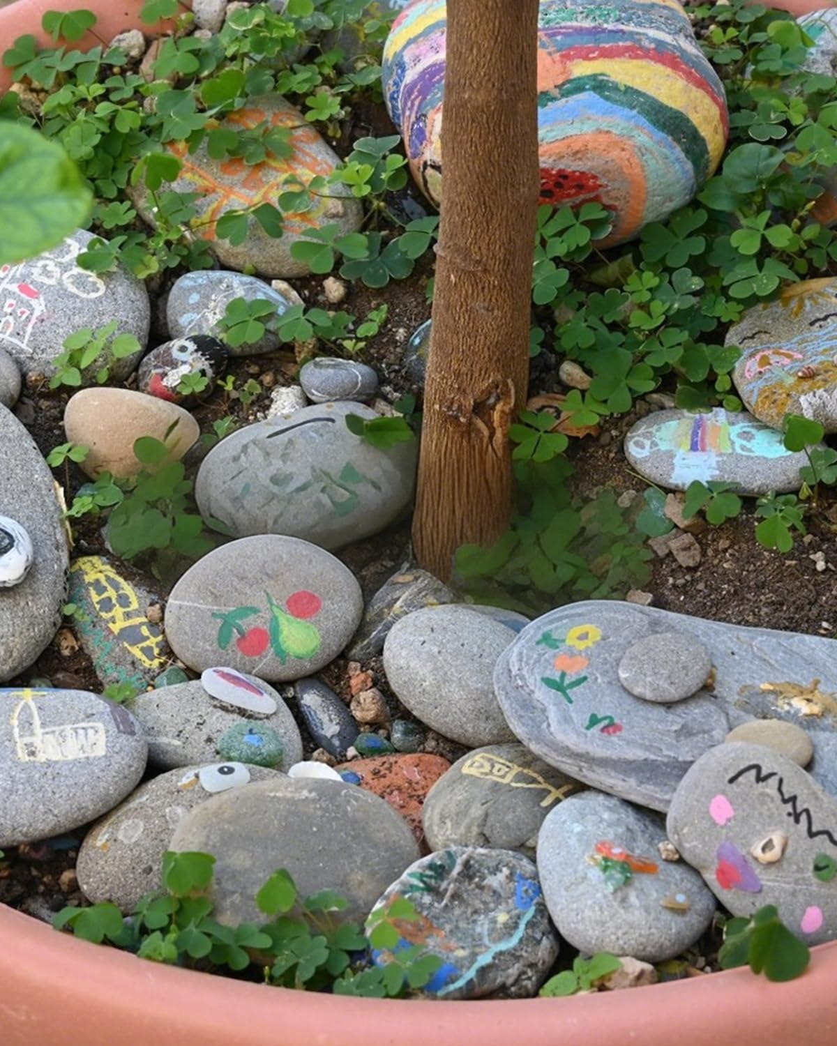 FAHAXIKI Natural River Rocks-5 lbs of Pebbles and River Stones,1-2 Inch Plant Rocks for Landscaping,Garden Paving,Crafting,Walkways,and Outdoor Decorative Stone,Mexican Beach River Rocks