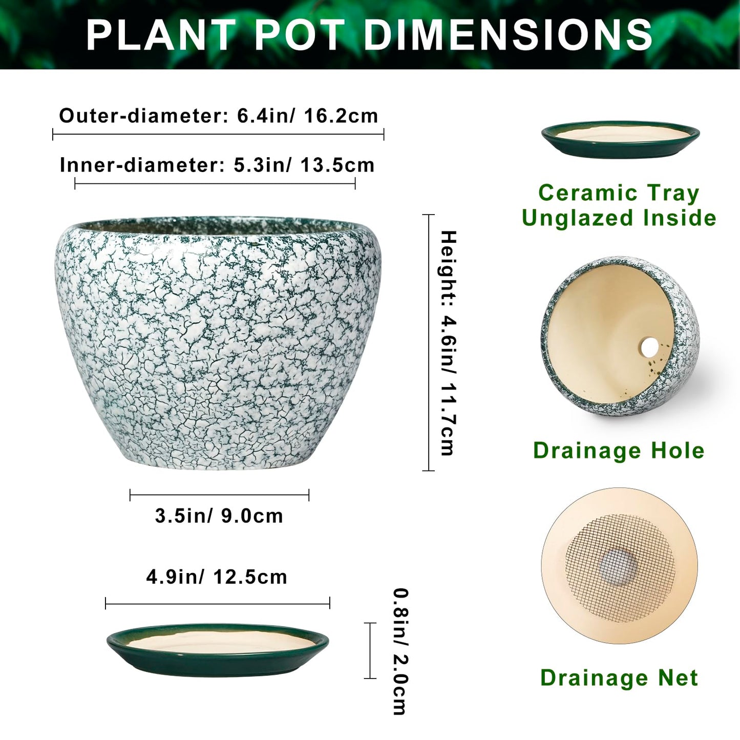 Thirtypot Ceramic Plant Pot - 6 Inch Planters for Indoor Plants, Round Succulent Pots with Drainage Hole and Saucer, Modern Decorative Plant Pots, Bathroom Decor, House Warming Gifts, Crackle Green