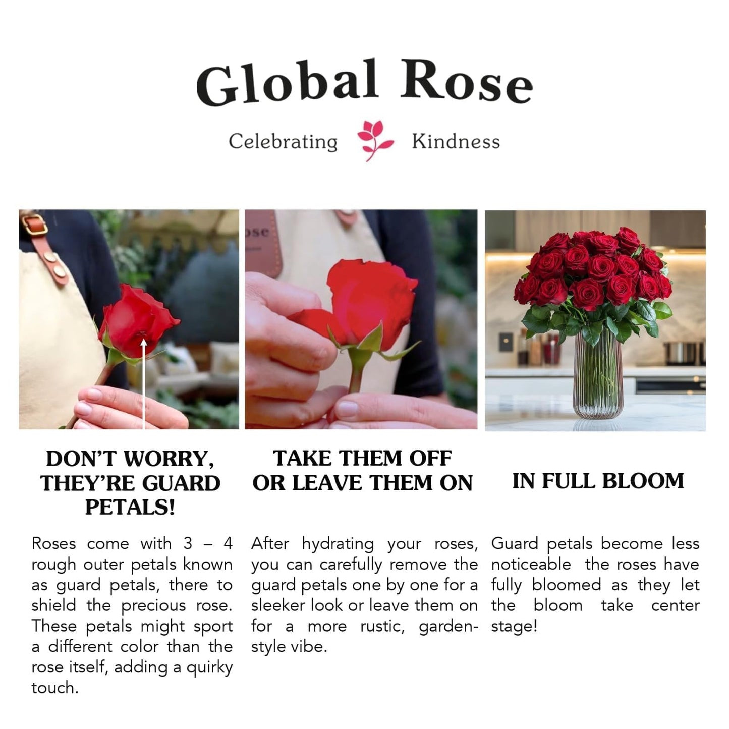 GlobalRose 150 Yellow Roses Bouquet - Responsibly Sourced Roses Fresh Flowers - Hand-Picked Flowers Fresh Bouquet for Graduation, Anniversary, Birthday & Special Occasions (6 Bunches of 25 Stems)