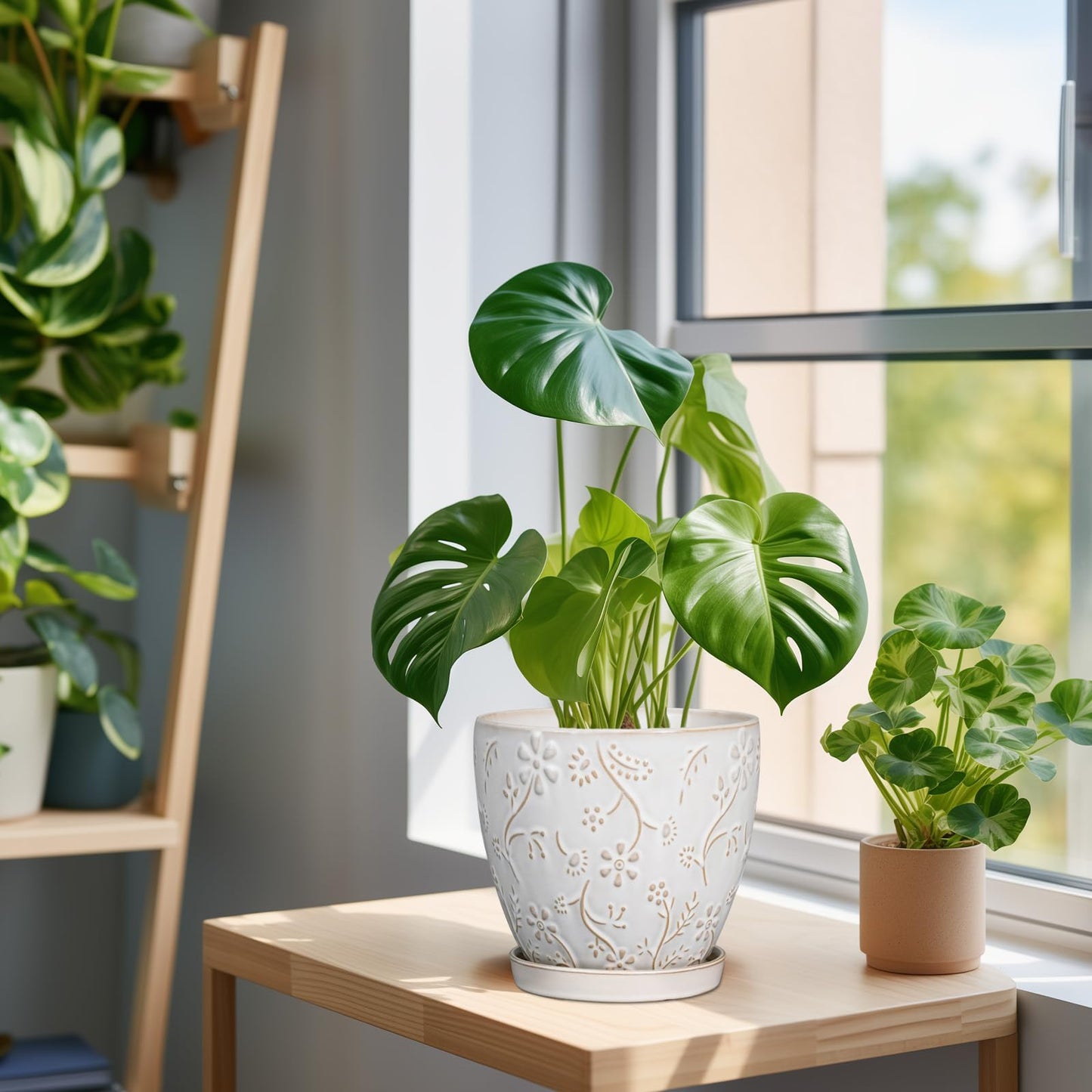 MPotTo 6 Inch Ceramic Plant Pot for Indoor Plants Outdoor Round Planter Flower Pot with Drainage Hole and Saucer for Home Garden Office Decor White