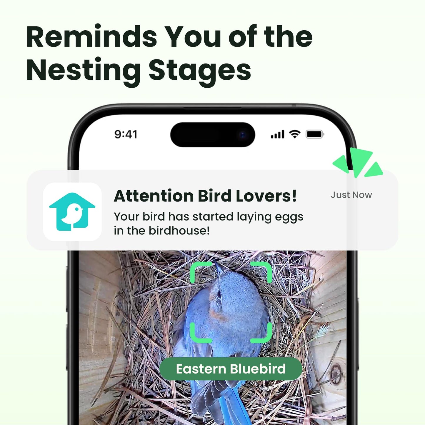Birdfy Bird House with Camera Solar Powered with Iron Guard for Outside, AI Identify, 1080P HD & Night Vision for Bluebird Finch Swallow Wren Chickadee Nesting Watching, Auto Detect & Notify
