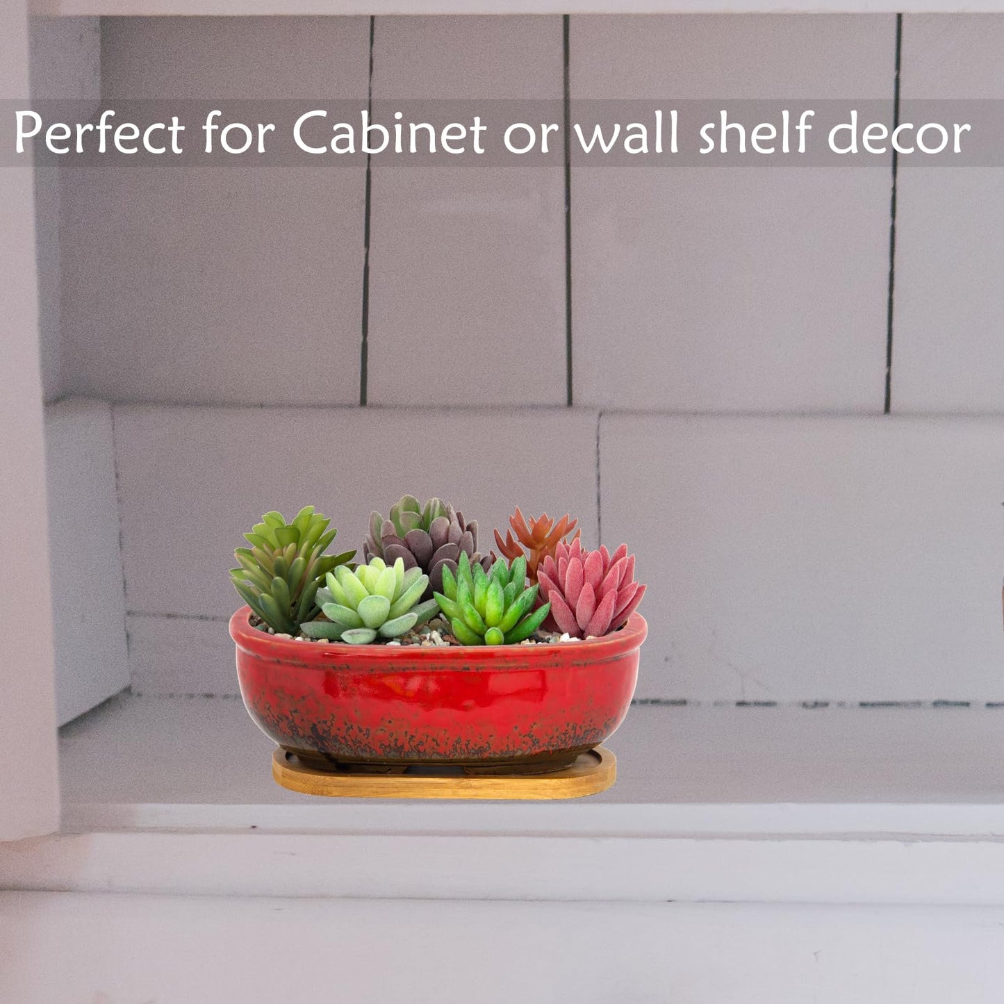 ARTKETTY Succulent Pots - Large Succulent Planters with Drainage Tray, 7.9'' Ceramic Pots for Indoor Cactus Plants, Oval Bonsai Flower Plant Container Bowl Decorative Home Desk Windowsill