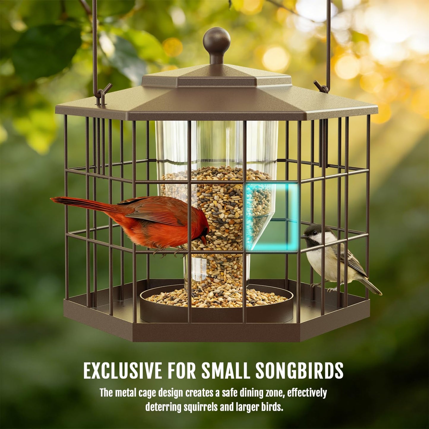 Birdream Squirrel Proof Bird Feeders for Outdoor Hanging, Metal Cage Bird Feeder with Rain Proof Covered for Wildbirds Bluebird Finches, Brown