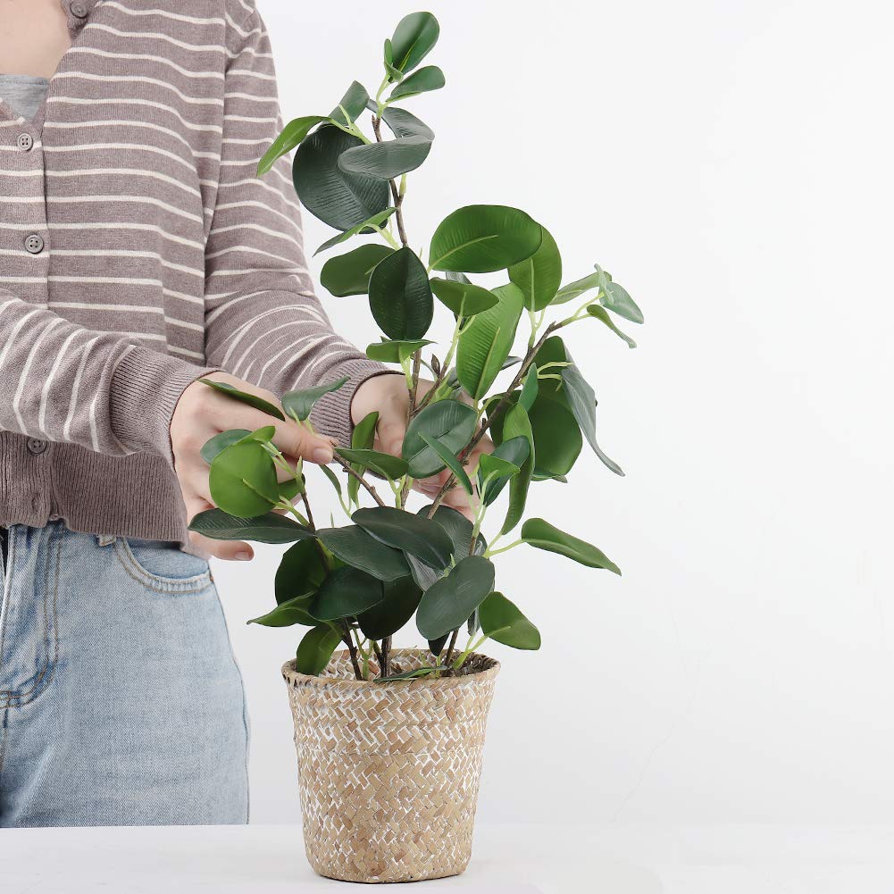 SAROSORA Artificial Ficus Tree Small Fake Plants in Weaved Pot 20" Height for Living Room Desktop Decor Indoor Home Office Ins Style (Green, 1)