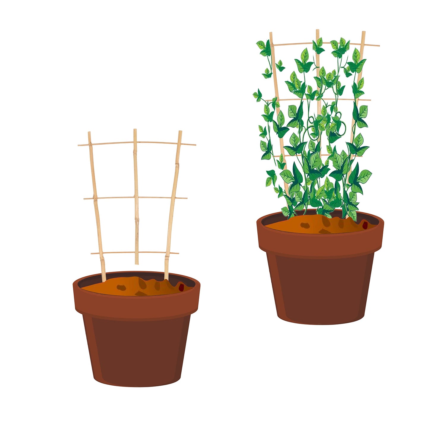 Natural Bamboo Trellis 15 Inches for Climbing Plants, Bamboo Trellis Potted Plant - 3 Pack