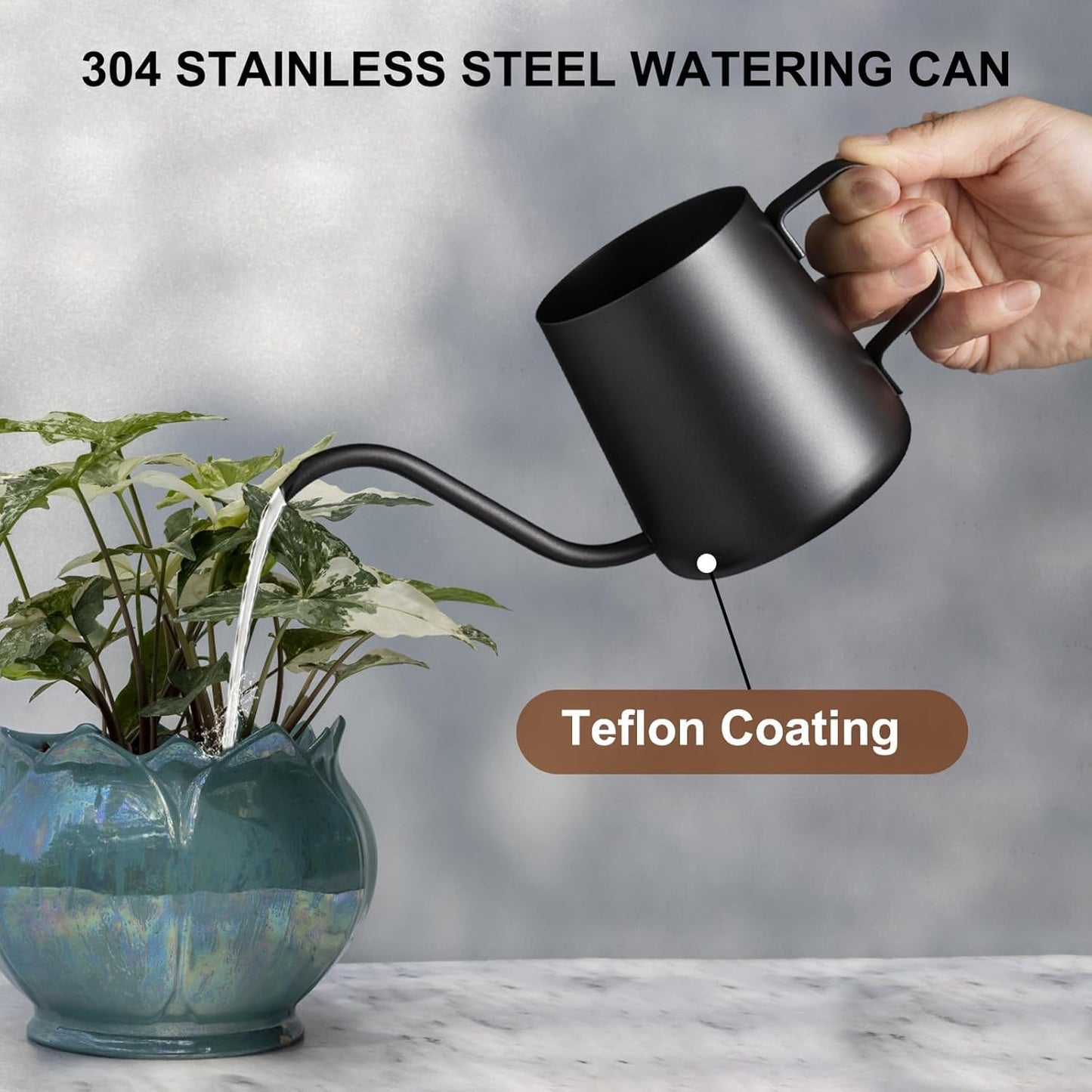 Lizhluzh 12 oz / 350 ml Watering Can Indoor Plants, Stainless Steel Plant Watering Can with Long Spout (Black) (12oz)