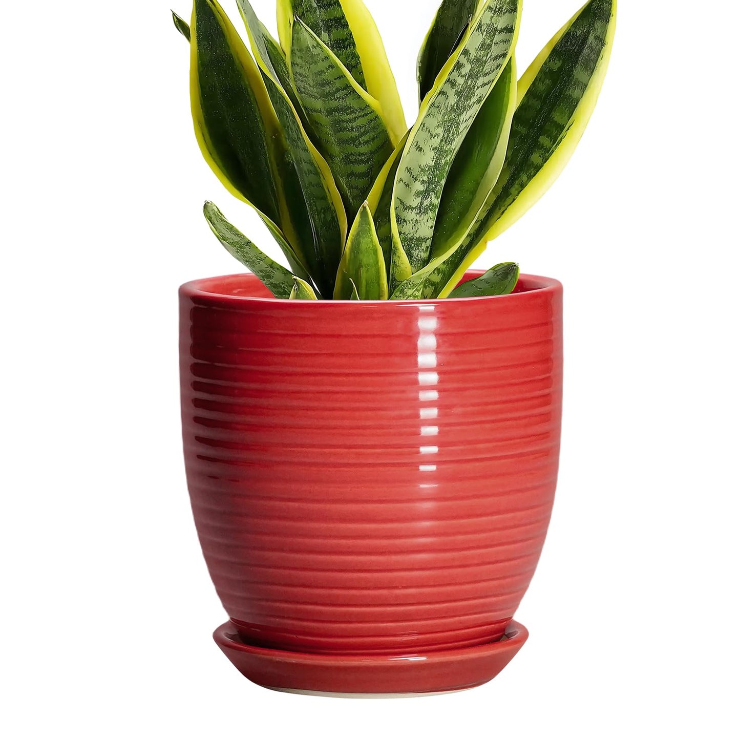EPFamily 6 Inch Ceramic Plant Pot - Ceramic Pots for Plants, Round Planter with Drainage Hole and Saucer, Modern Flower Pots for Indoor Plants, Desk Home Office Decor, Plant Lover Gifts, Glossy Red