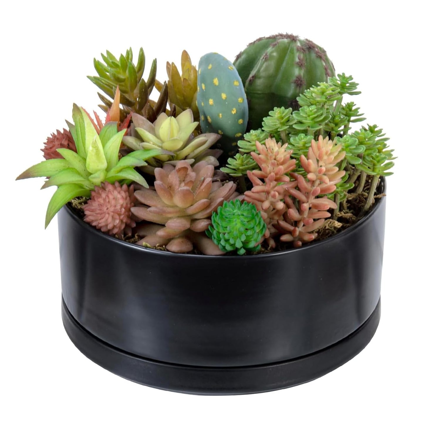 MyGift 8 Inch Black Ceramic Succulent Planter Pot - Decorative Flower Plant Bowl with Removable Saucer