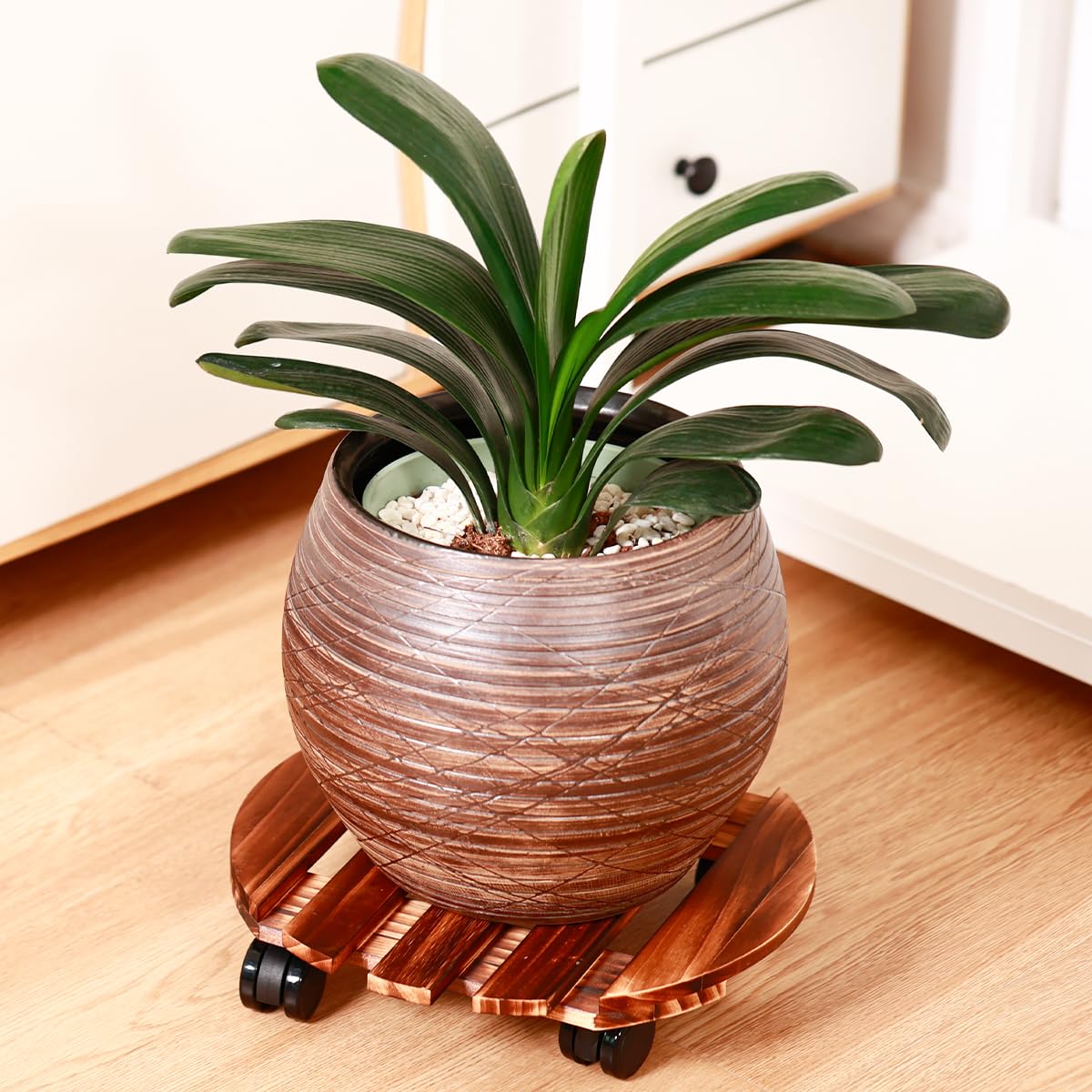 5 Pack Plant Caddy with Wheels Heavy Duty 13.5 Inch Wooden Plant Stand on Wheels Plant Dolly Rolling Plant Stand Plant Roller with Casters for Indoor and Outdoor with 5 Pack Plant Saucers, Round