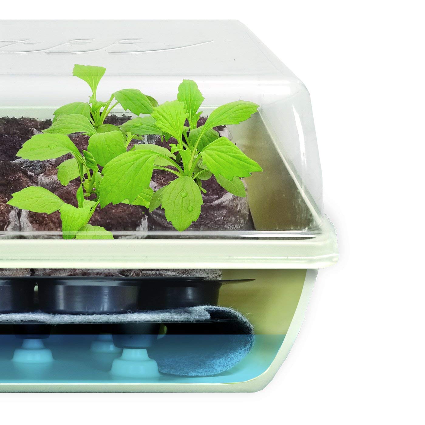 Jiffy Seed Starter Tray Kit - Self-Watering, High Germination Rate, Seedling Tray - 2 Pack, Peat/Plastic