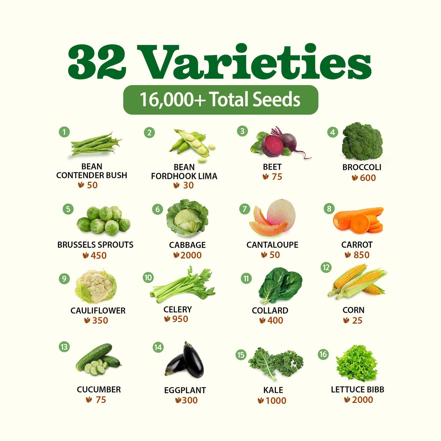 32 Heirloom Vegetable and Fruit Seeds for Planting - 16,000+ Seeds | Non-GMO Survival Seed Vault | High Germination | 32 Varieties of Vegetable Seeds for Your Home Survival Garden