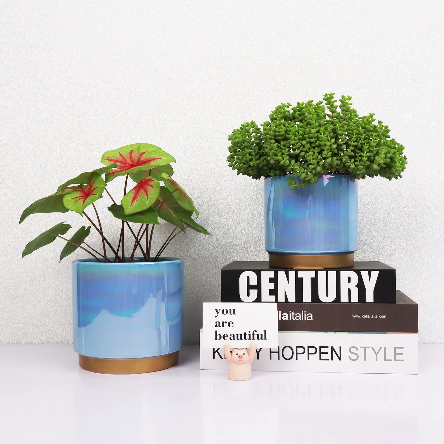 YFFSRJDJ Ceramic Flower Plants Pots Planter with Drainage Hole, 6.0 inch+5.0 Inch. Indoor-Outdoor Large Round Succulent Orchid Pot Set (Blue)