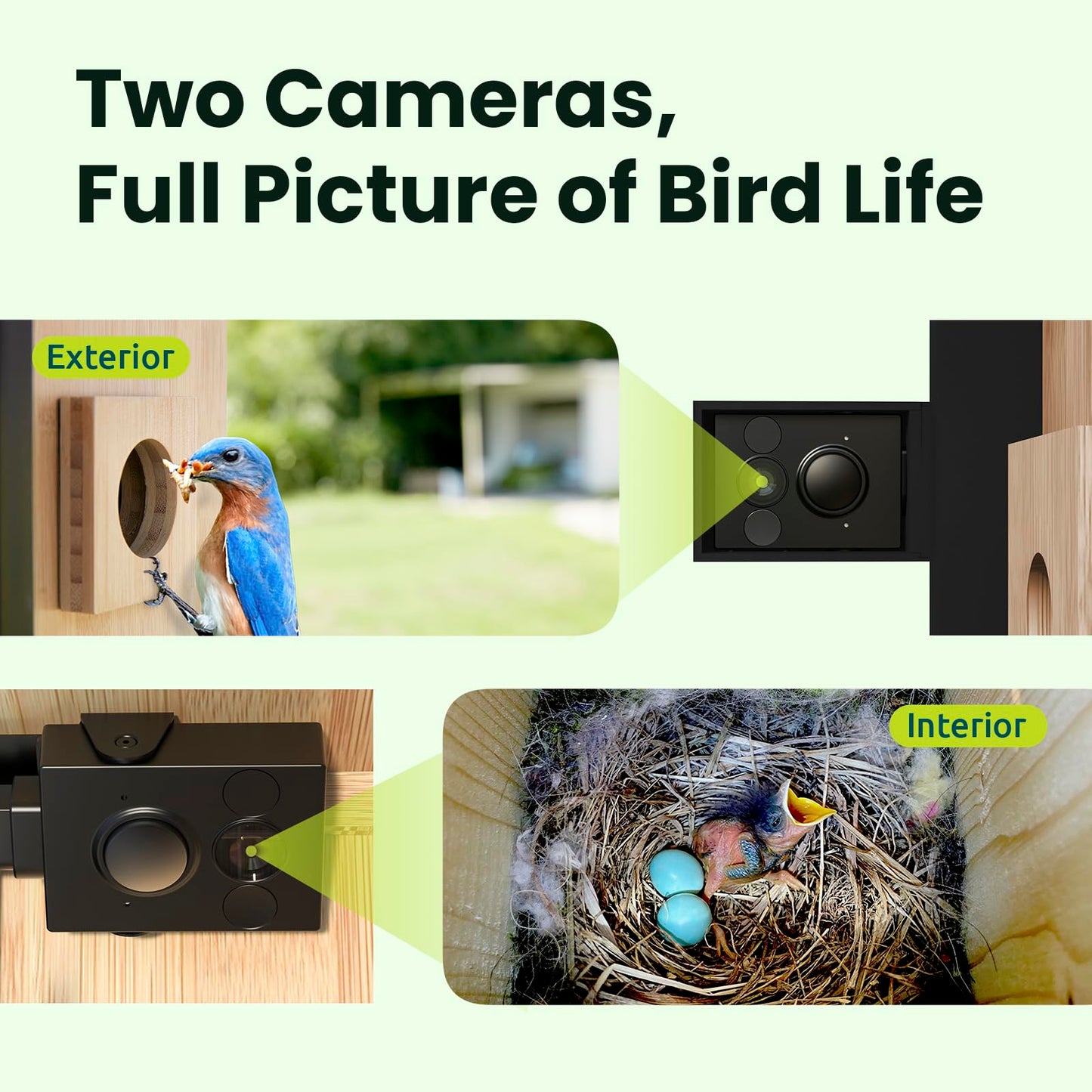 Birdfy Smart Bird House with Cameras 2025 New Version,1080P Dual-Cam, Remote Control,Solar Powered, AI Identify, Wireless Outdoor Watch Bluebird Cardinal Nesting Story in Realtime, DIY Gift (Bamboo)
