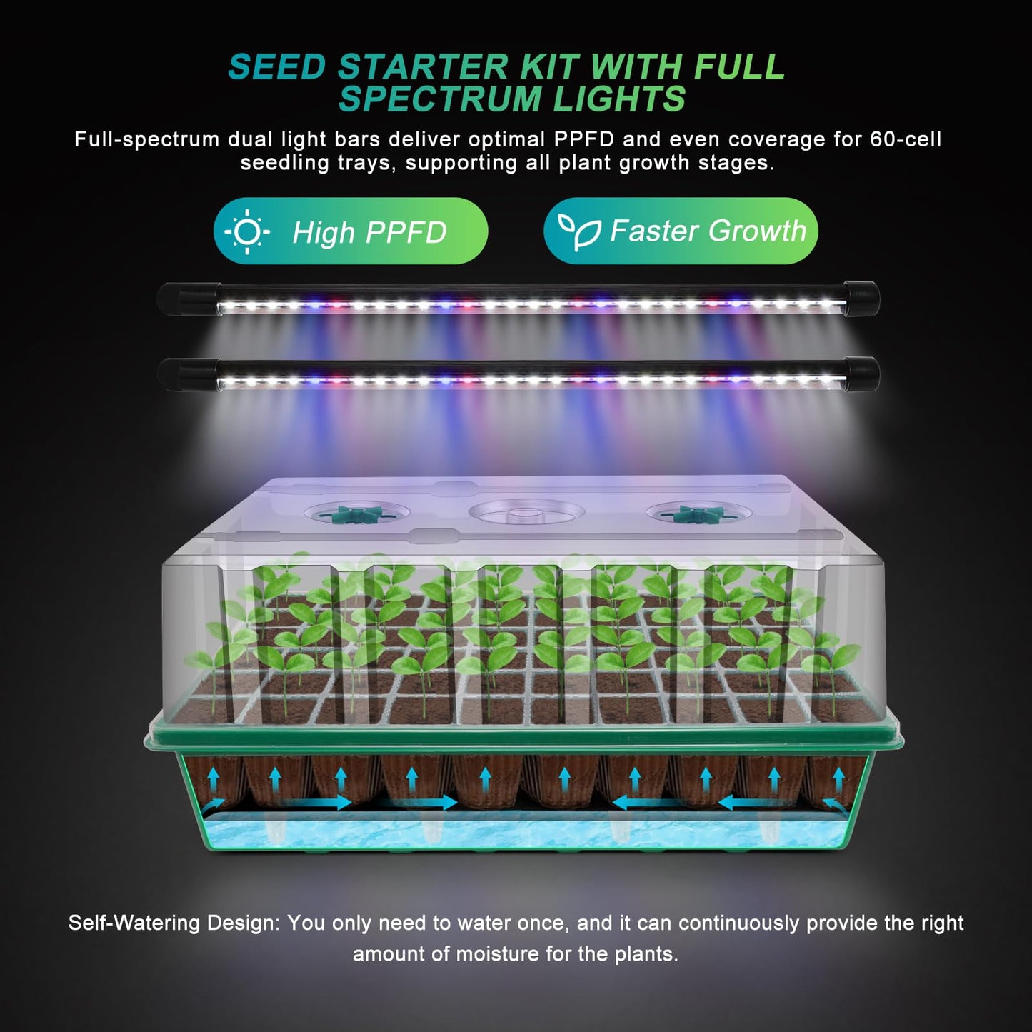 GOOINMILL Self-Watering Seed Starter Tray with Timed Grow Light, 60 Cells Plant Starter Tray Seedling Starter Kit with Humidity Domes Base Indoor Mini Greenhouse Plant Germination Trays