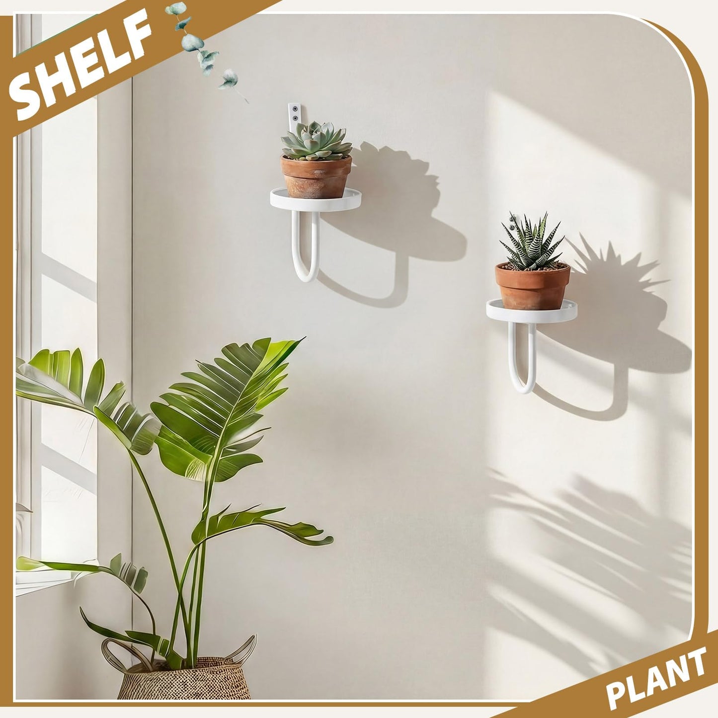 Otoolling 2 Pcs Hanging Planters for Indoor Plants Wall Plant Holder Plant Hanger Wall Planters Shelves Decor for Living Room Bathroom Window (White)
