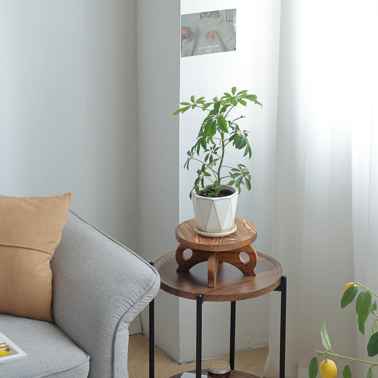 VZODESR Decorative Corner Planter Wooden Plant Stands Indoor Plant Holder Riser Round Display Stands Farmhouse Display Stool Flower Holder Pedestal Board Pine