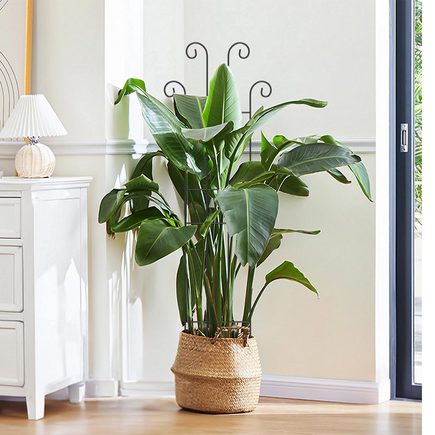 2 Set 32'' Taller Plant Trellis for Climbing Plants Indoors & Outdoor, Garden Metal Trellis Plant Support for Potted Plants, Houseplants, Flowers Vine, Ivy, Pothos, Monstera