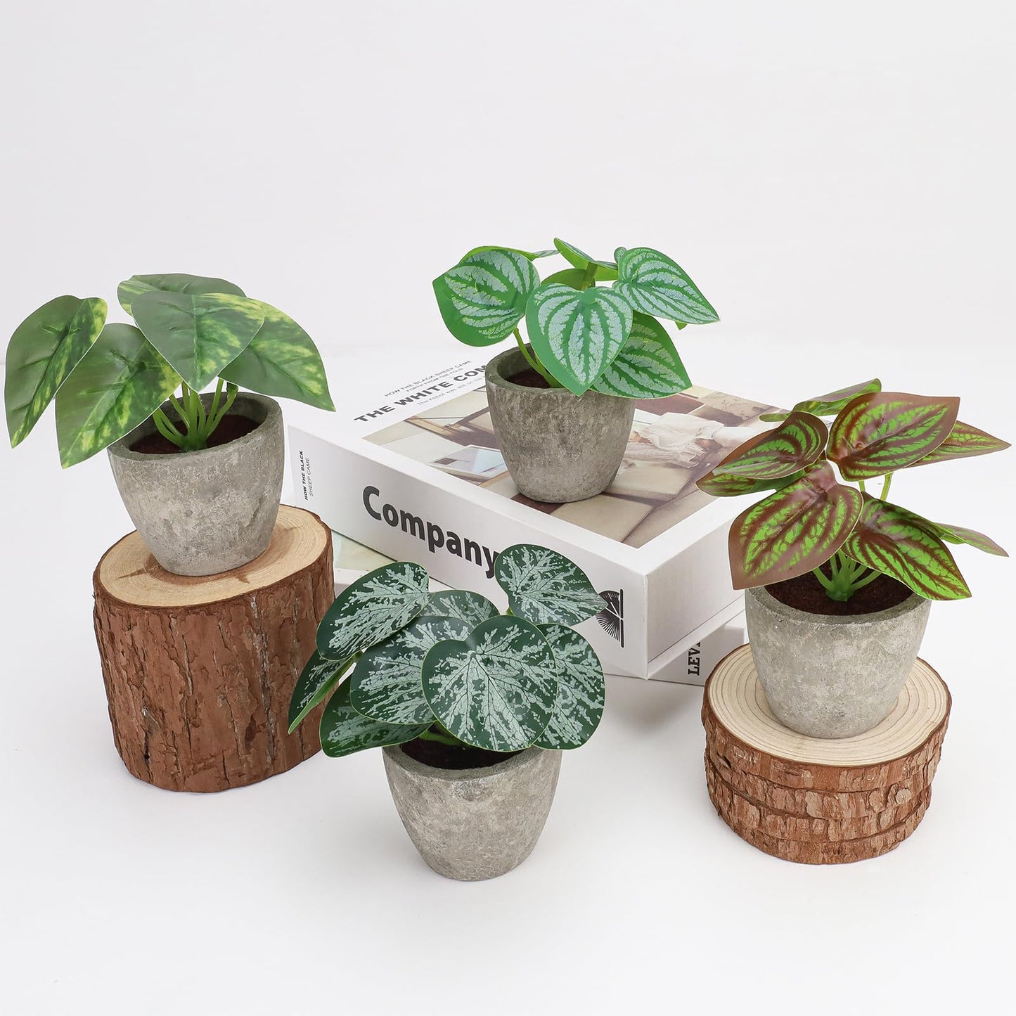 Woration 4Pcs Artificial Plants Potted Small Fake Tropical Faux Greenery Leaves Indoor for Office Desk Shelf Bathroom Home Decorations