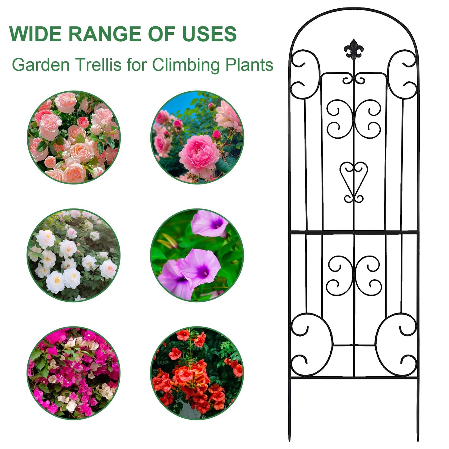 70"X18" Metal Garden Trellis for Climbing Plants, Climbing Plant Support, Heavy-Duty Steel Garden Trellis for Indoor & Outdoor Vines Plant Rose Vegetable Support Black (2, Pattern-C)