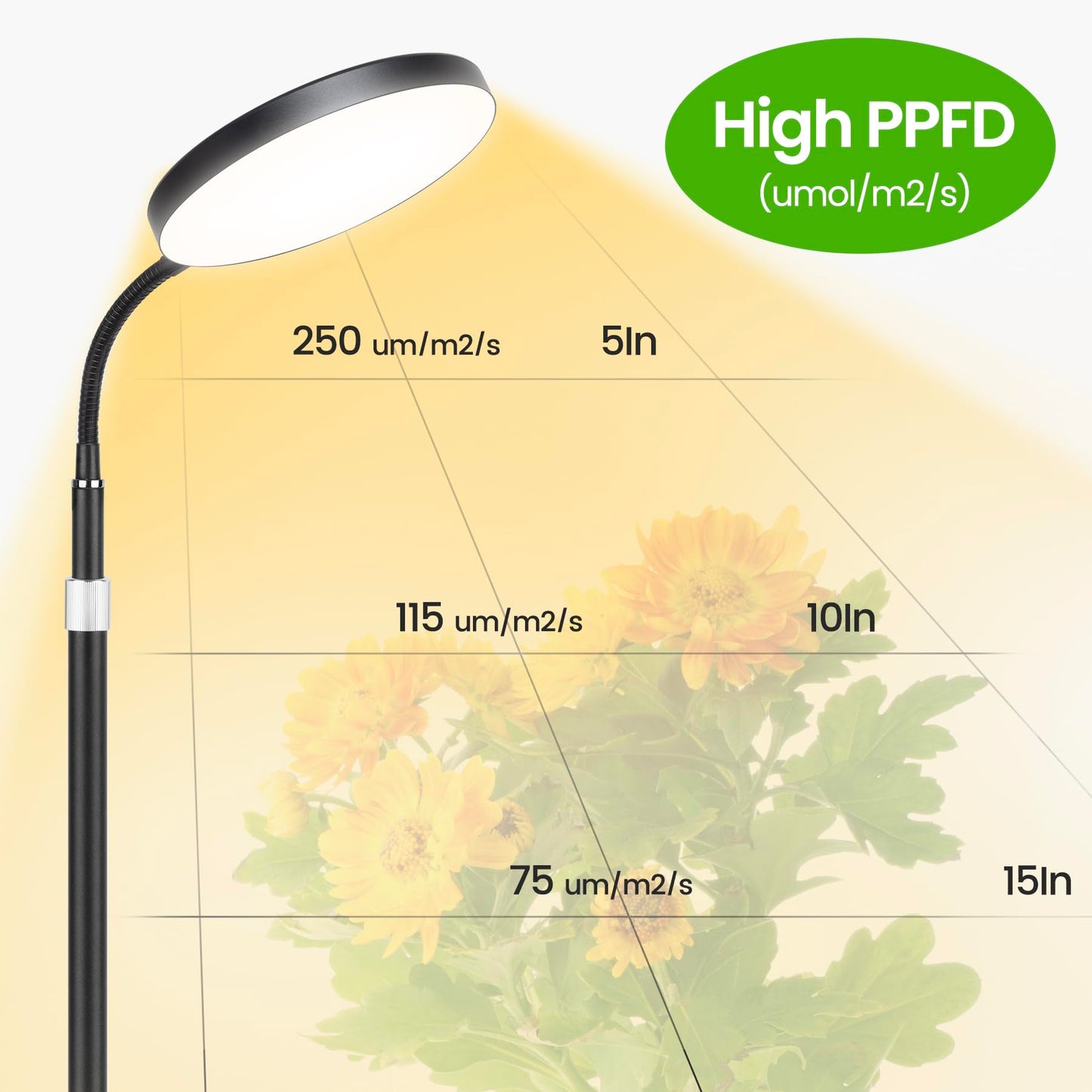 MistyJungle Plant Grow Lights for Indoor,20W Large Round Full Spectrum Warm Light with Gooseneck,63in Tall Stand Floor Growing Lamp, Auto Timer,10 Dimmable Levels for Tall Small Plants Flower Growth
