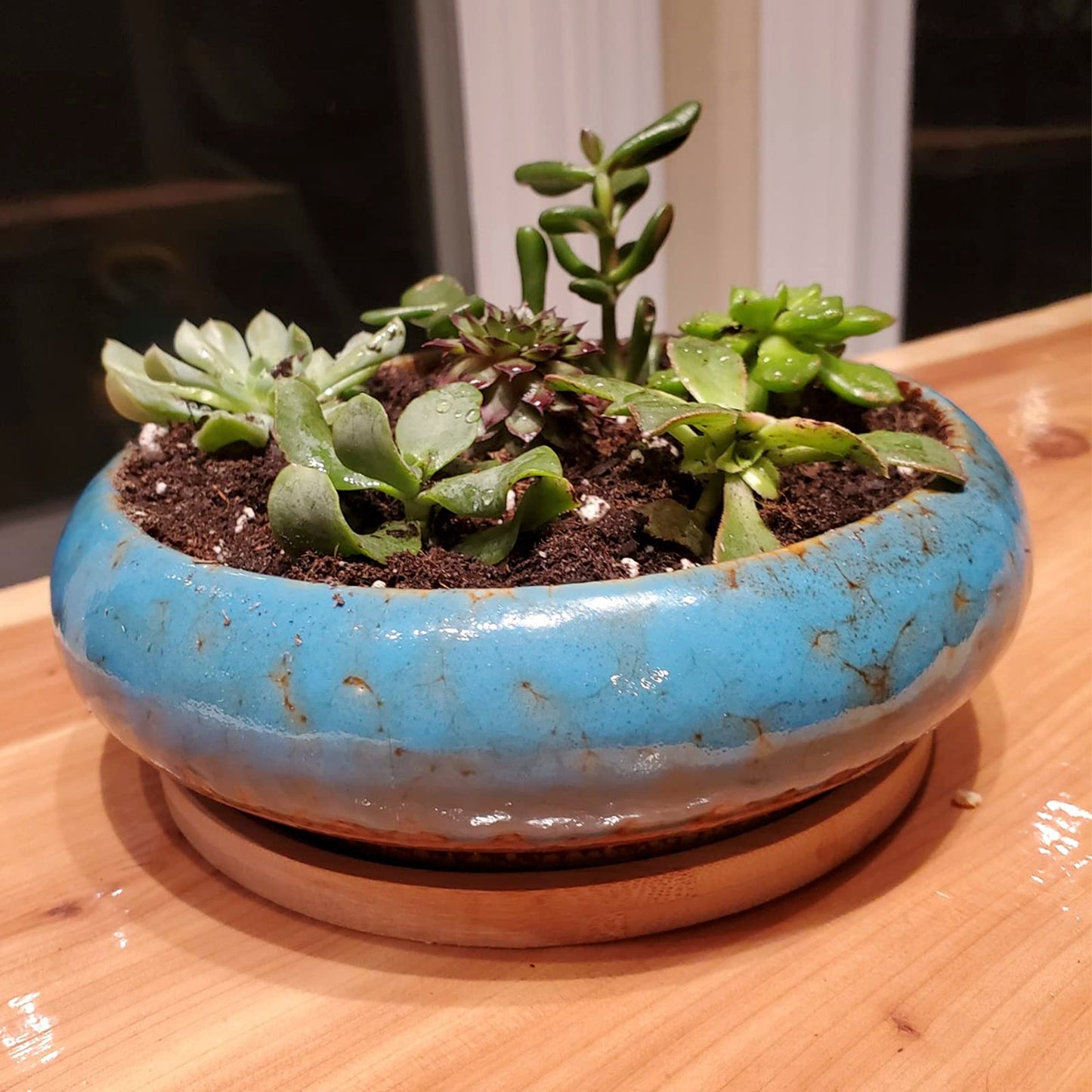 Succulent Pots, 1 Rectangle Planter + 1 Ceramic Bonsai Pot with Drain Tray, 2 Pack Large Shallow Succulent Planters for Indoor Plants, Round Cactus Flower Plant Pot for Desk Windowsill Decor